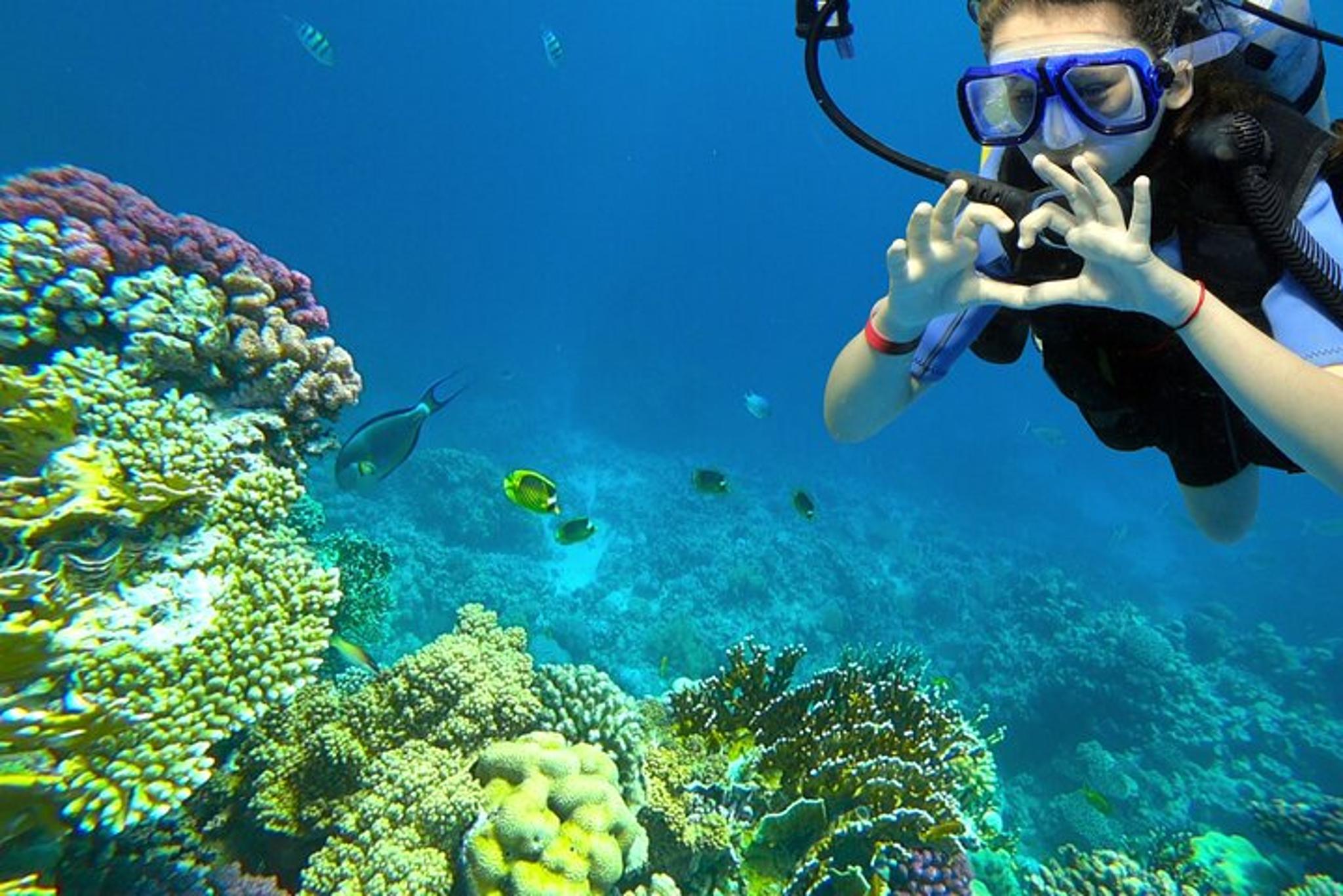 Key Largo Scuba Diving Course with Instructor - Image 2