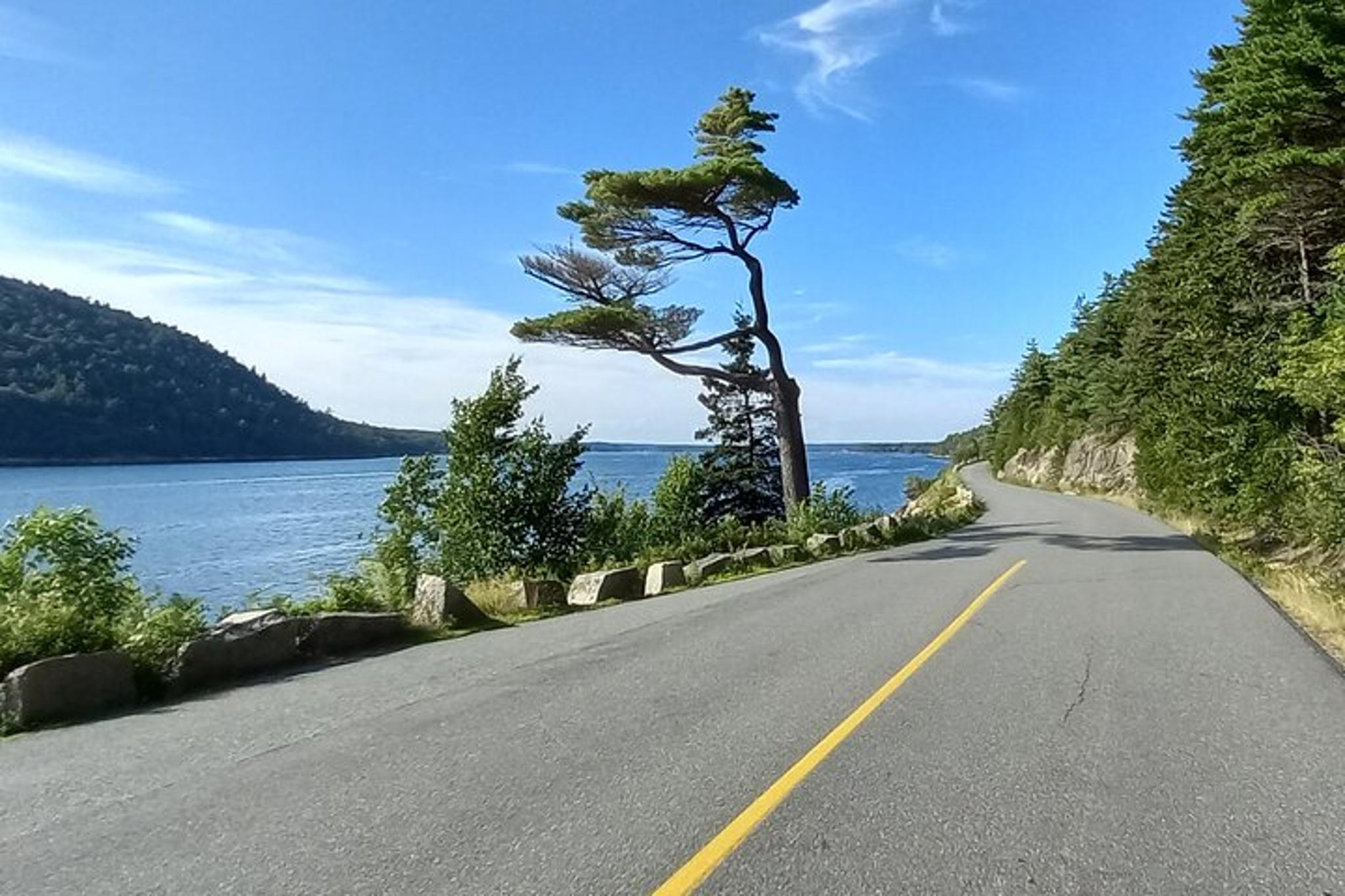Acadia National Park Driving Tour - Image 5