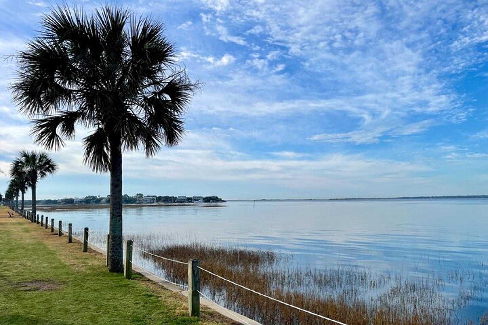 Charleston Bird Watching Tour 75 Min - Image 3