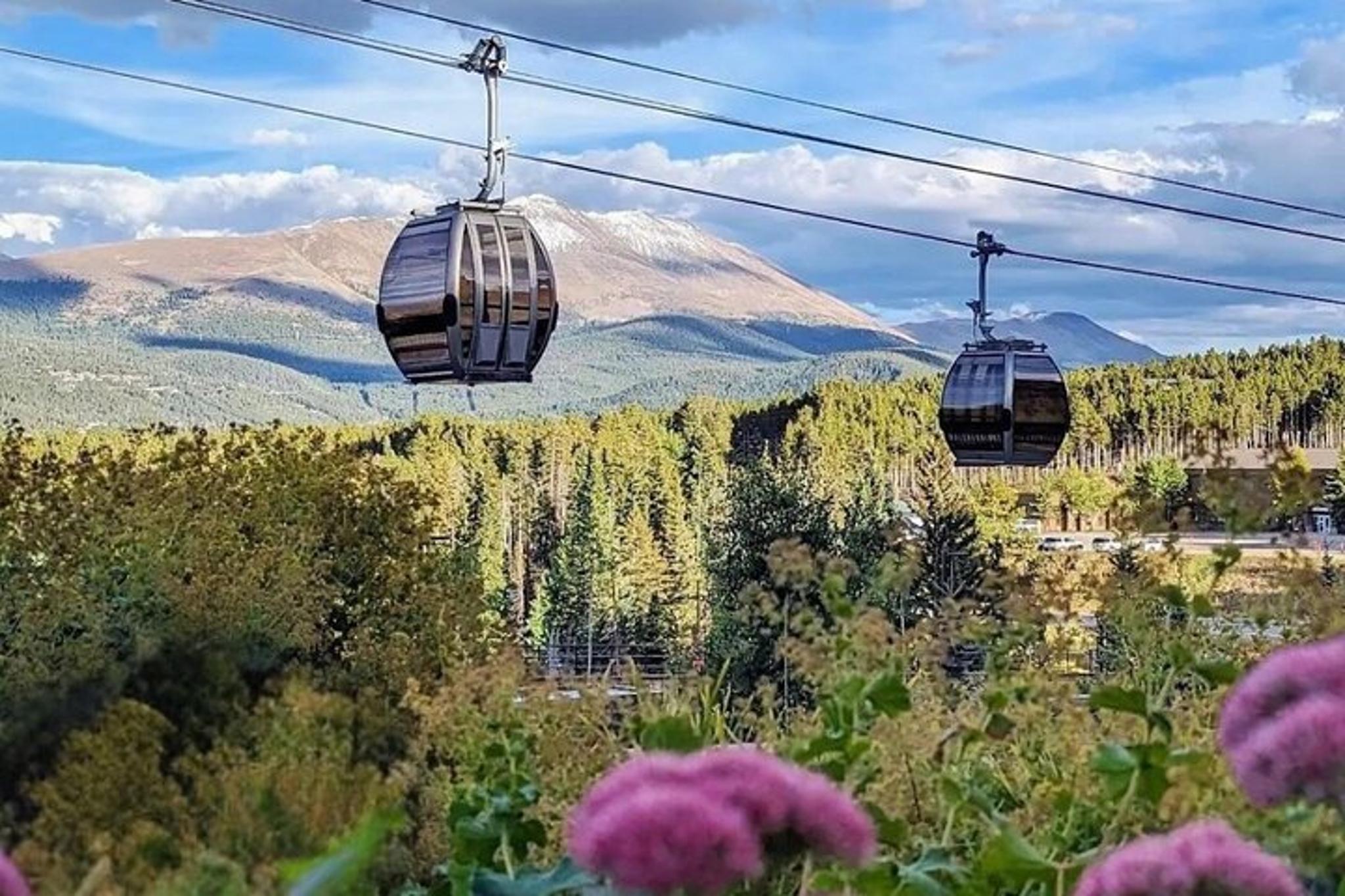 Denver Breckenridge Private Tour 8 hr - Image 2