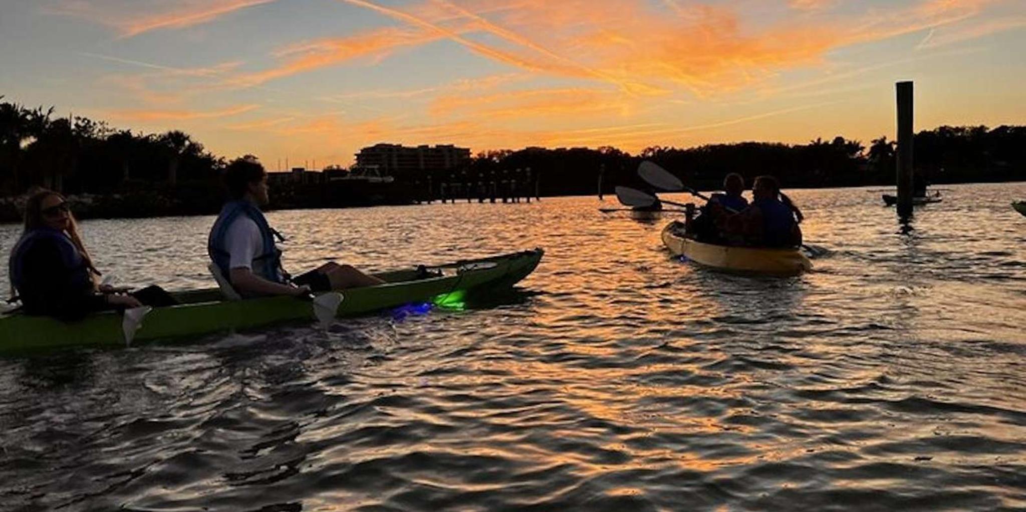 Sarasota Glass Bottom Kayak Night Tour - Image 4