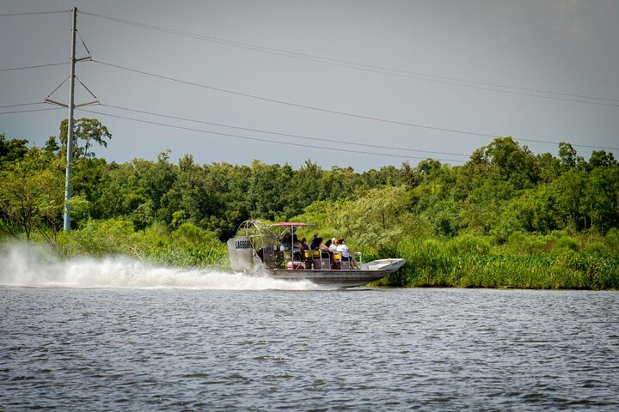 Louisiana Swamp Experience - Image 4