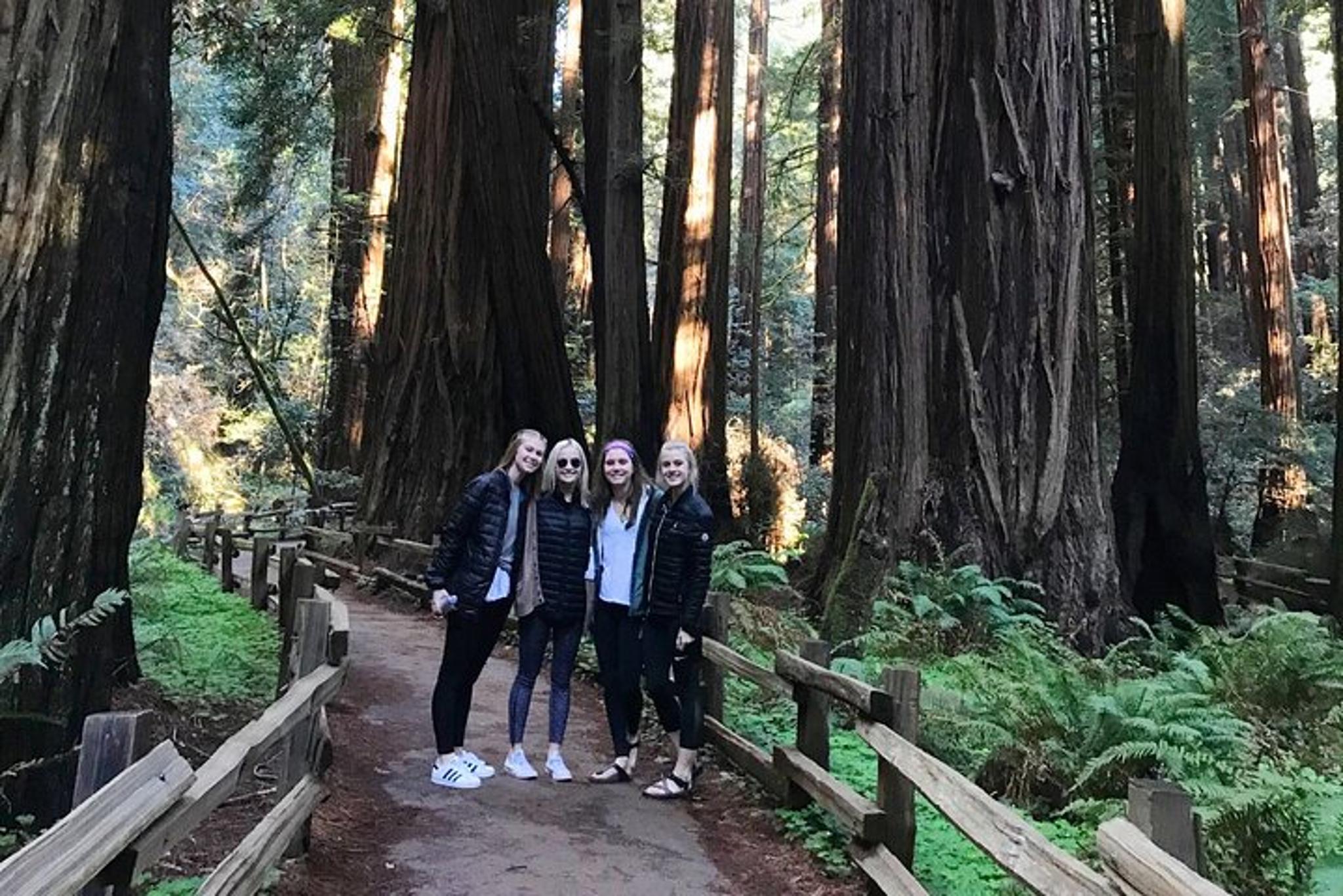 San Francisco Muir Woods Tour with Golden Gate Stops - Image 2