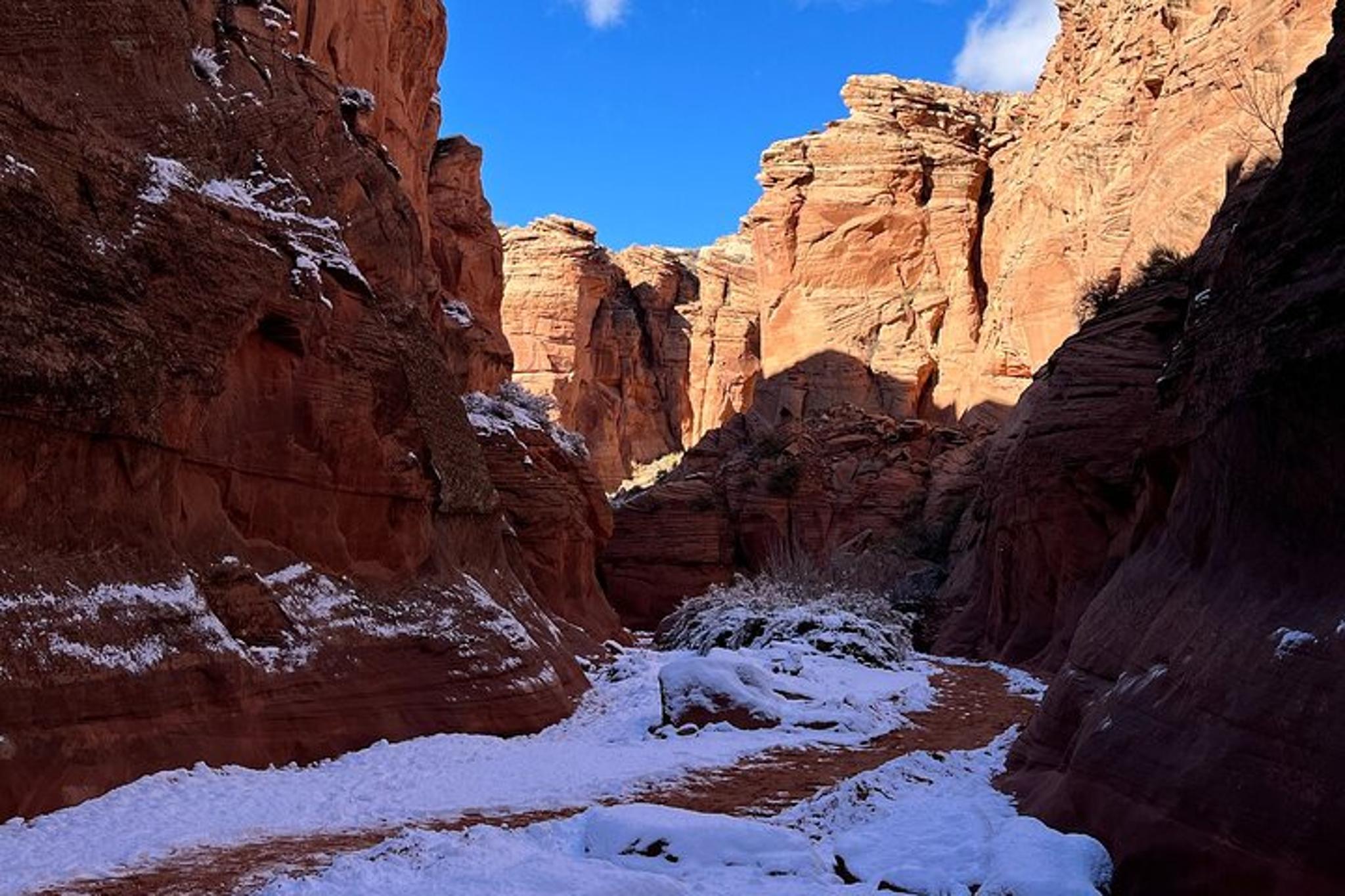 Las Vegas Antelope Canyon and Horseshoe Bend Tour - Image 2
