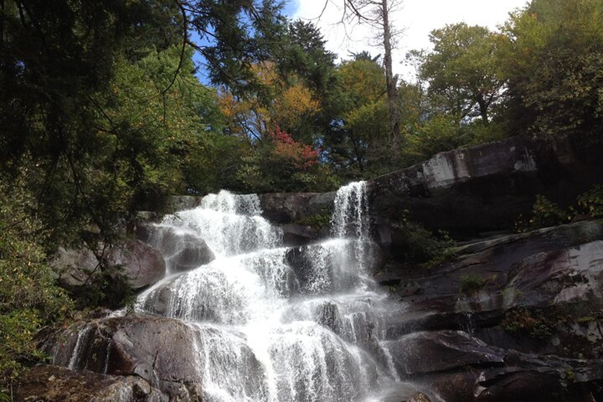 Gatlinburg Old Growth Forest Hike - Image 3
