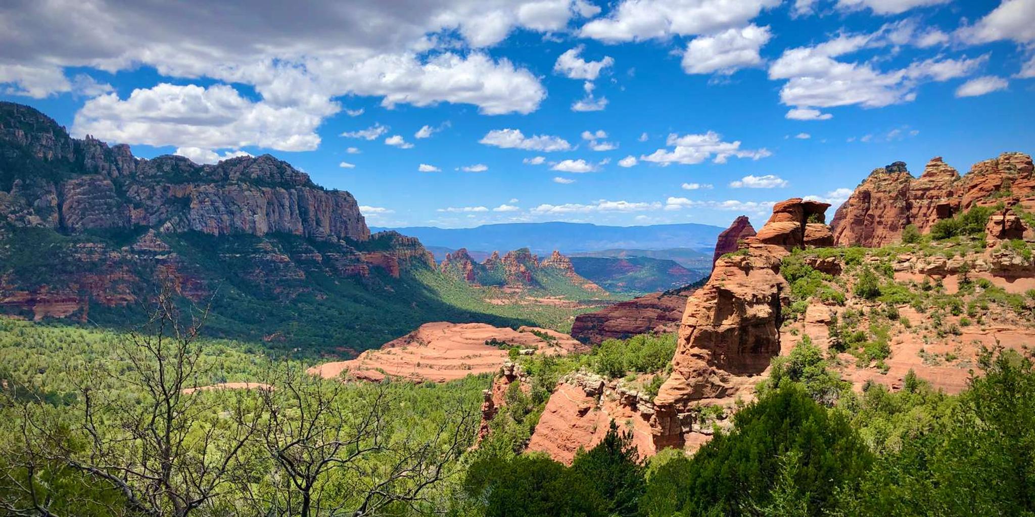 Phoenix Grand Canyon and Sedona Day Tour - Image 5