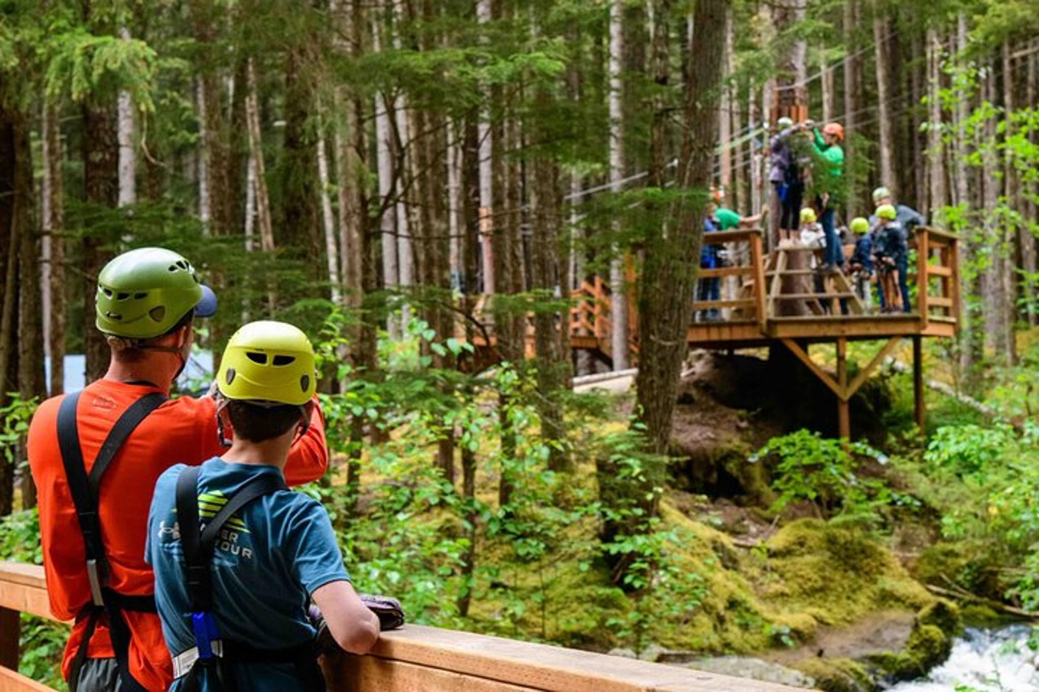 Grizzly Falls Ziplining Expedition in Alaska - Image 2