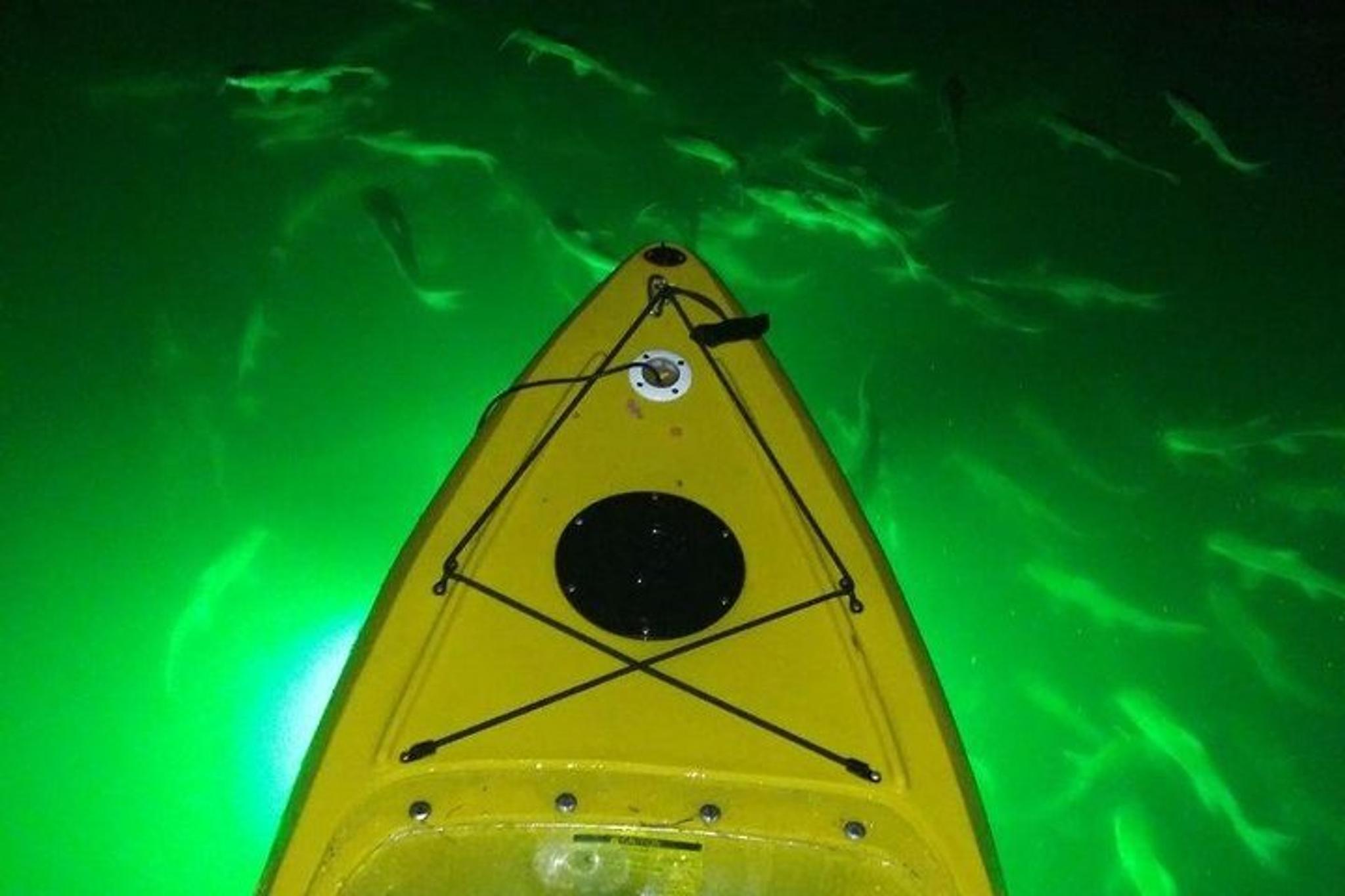 St. Pete Beach Glass Bottom Night Kayak Tour - Image 6