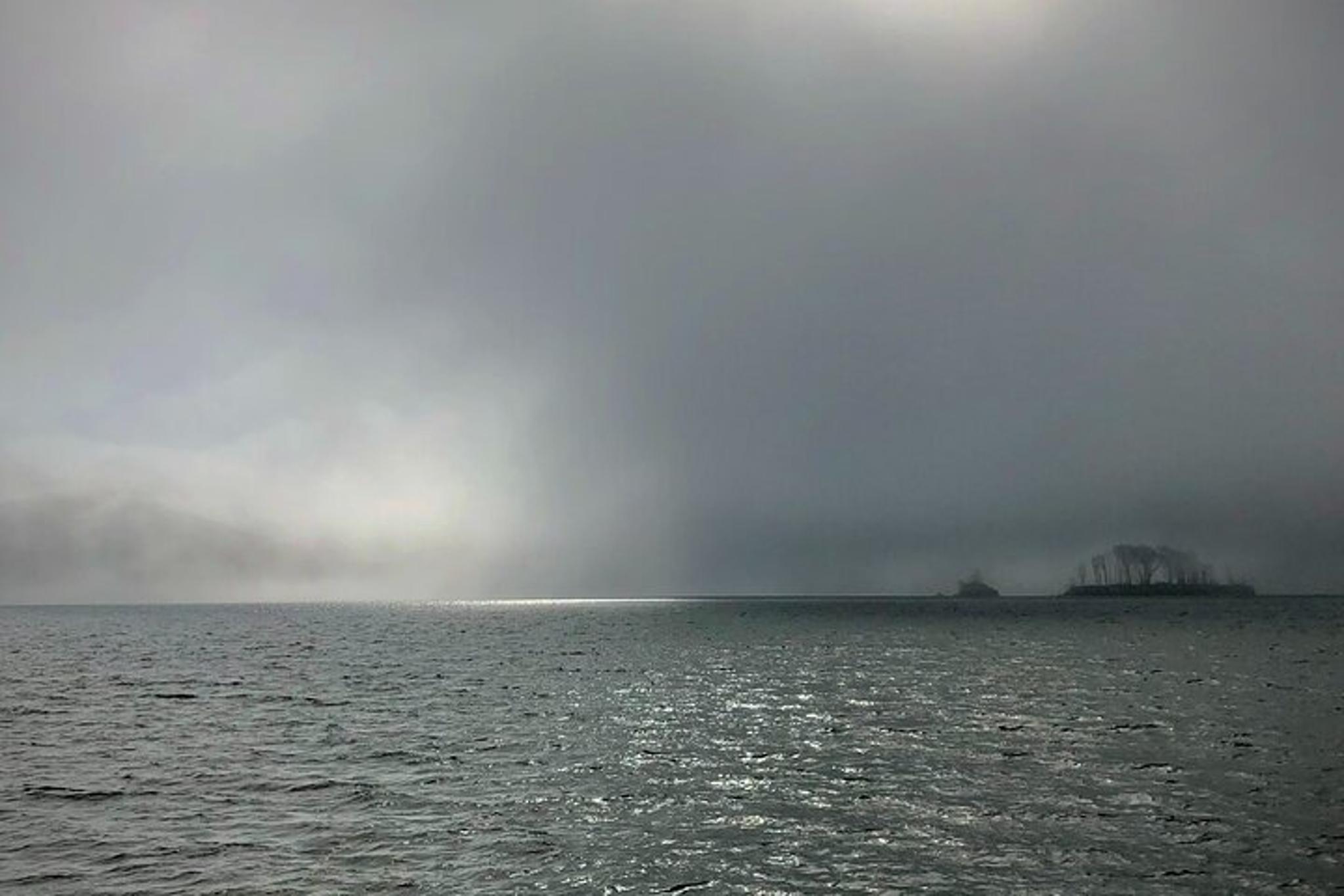 Tomales Bay Midweek Kayak Tour - Image 6