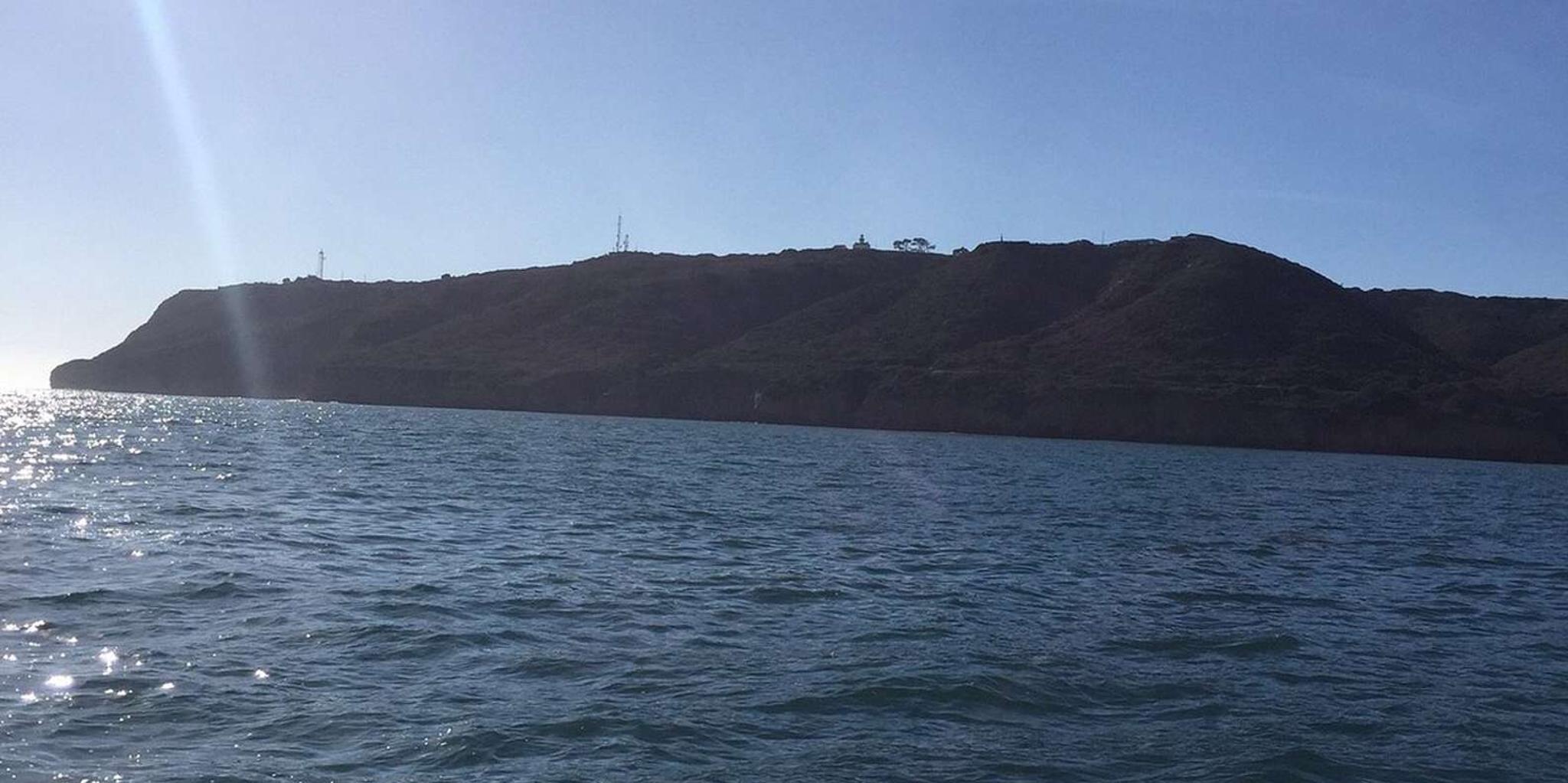 San Diego Marine Wildlife Tour with Lunch - Image 4