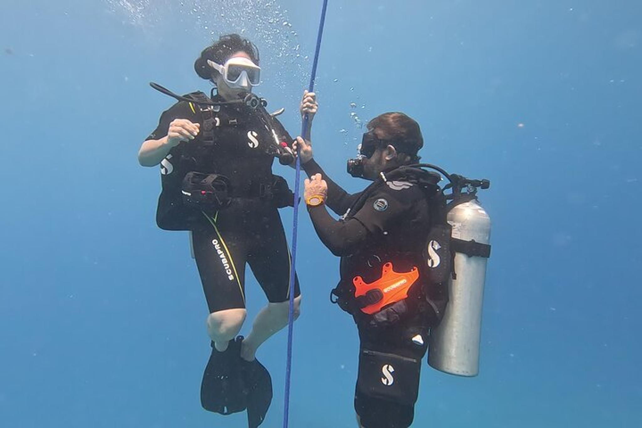 Waikiki Scuba Diving Two Tank Dive - Image 5