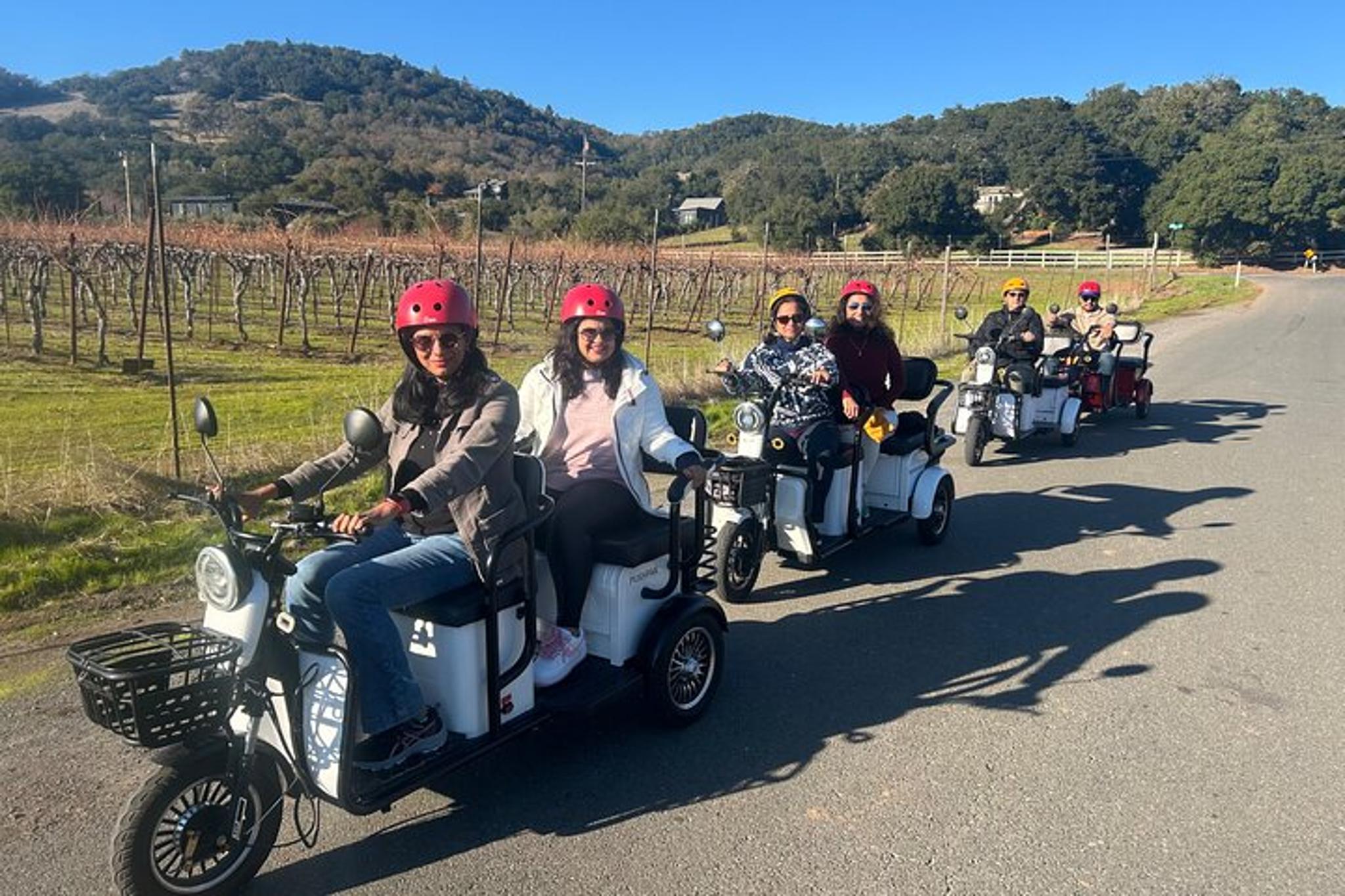 Sonoma Wine Country Electric Trike Tour 3 hr - Image 2