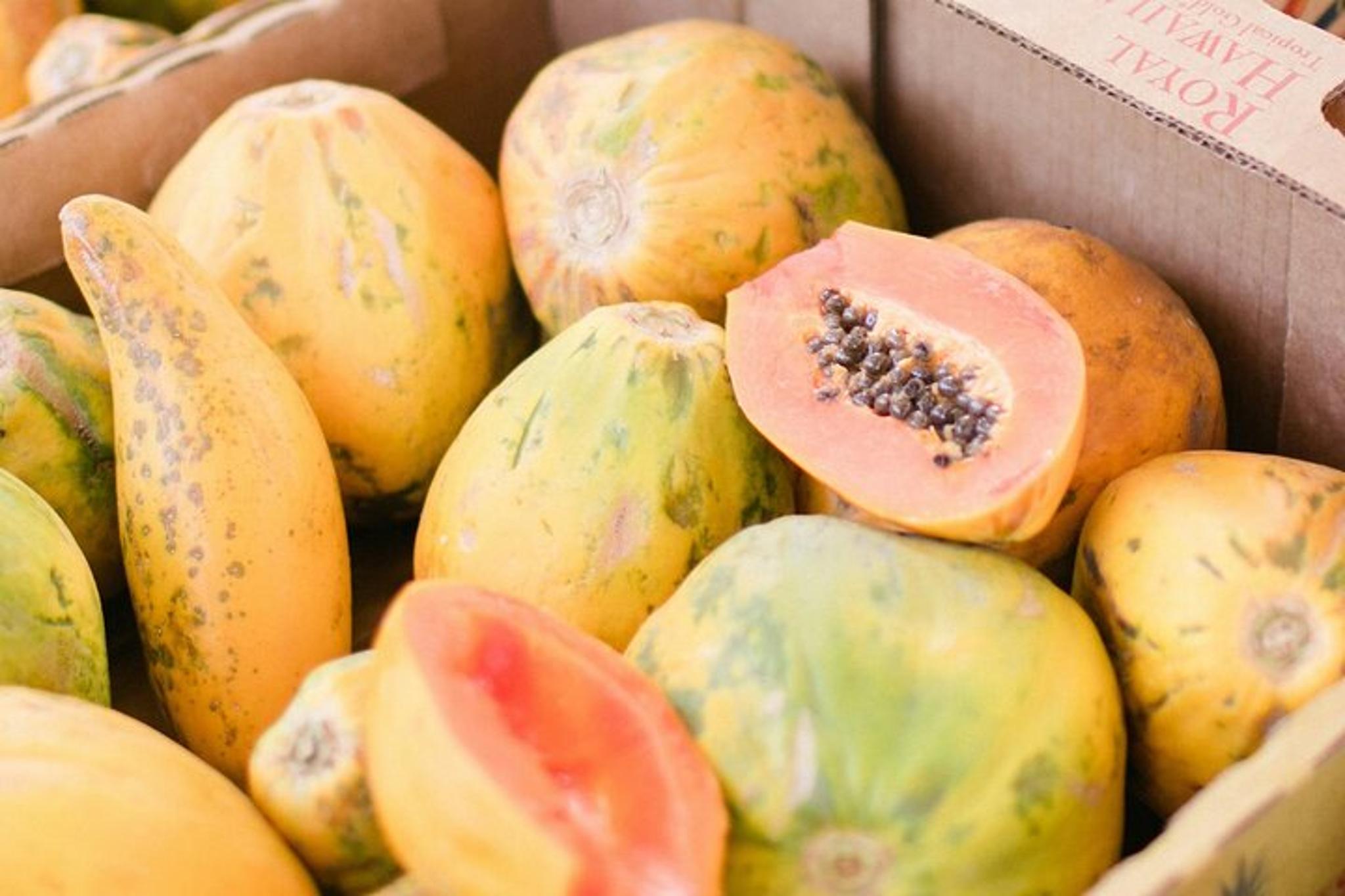 Oahu Circle Island Tour - Image 6