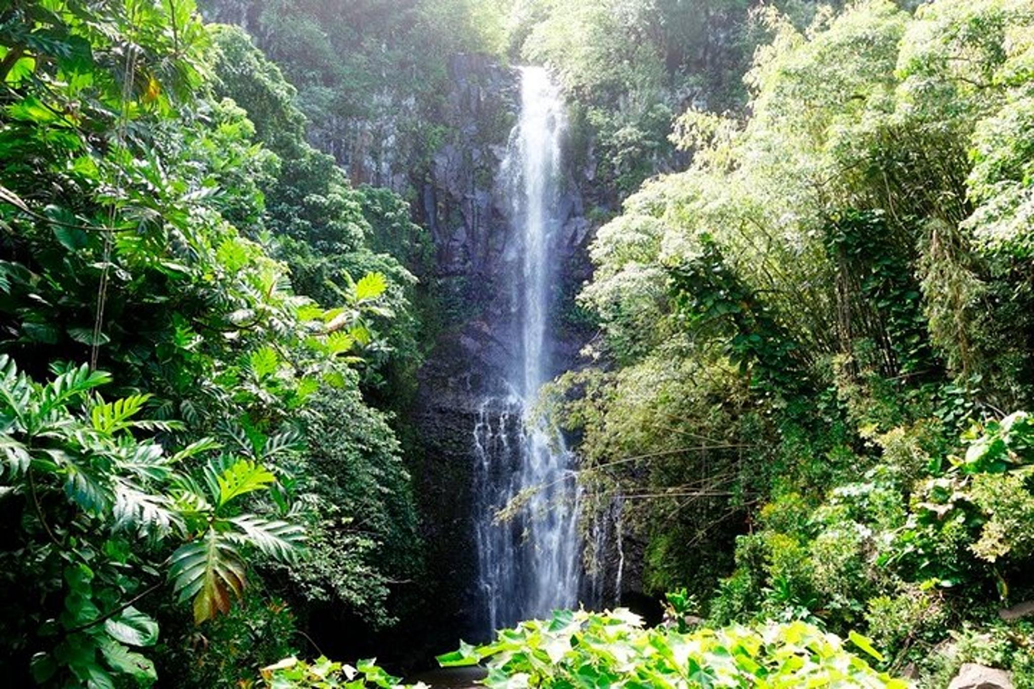 Maui Road to Hana Rainforest Tour with Lunch - Image 6