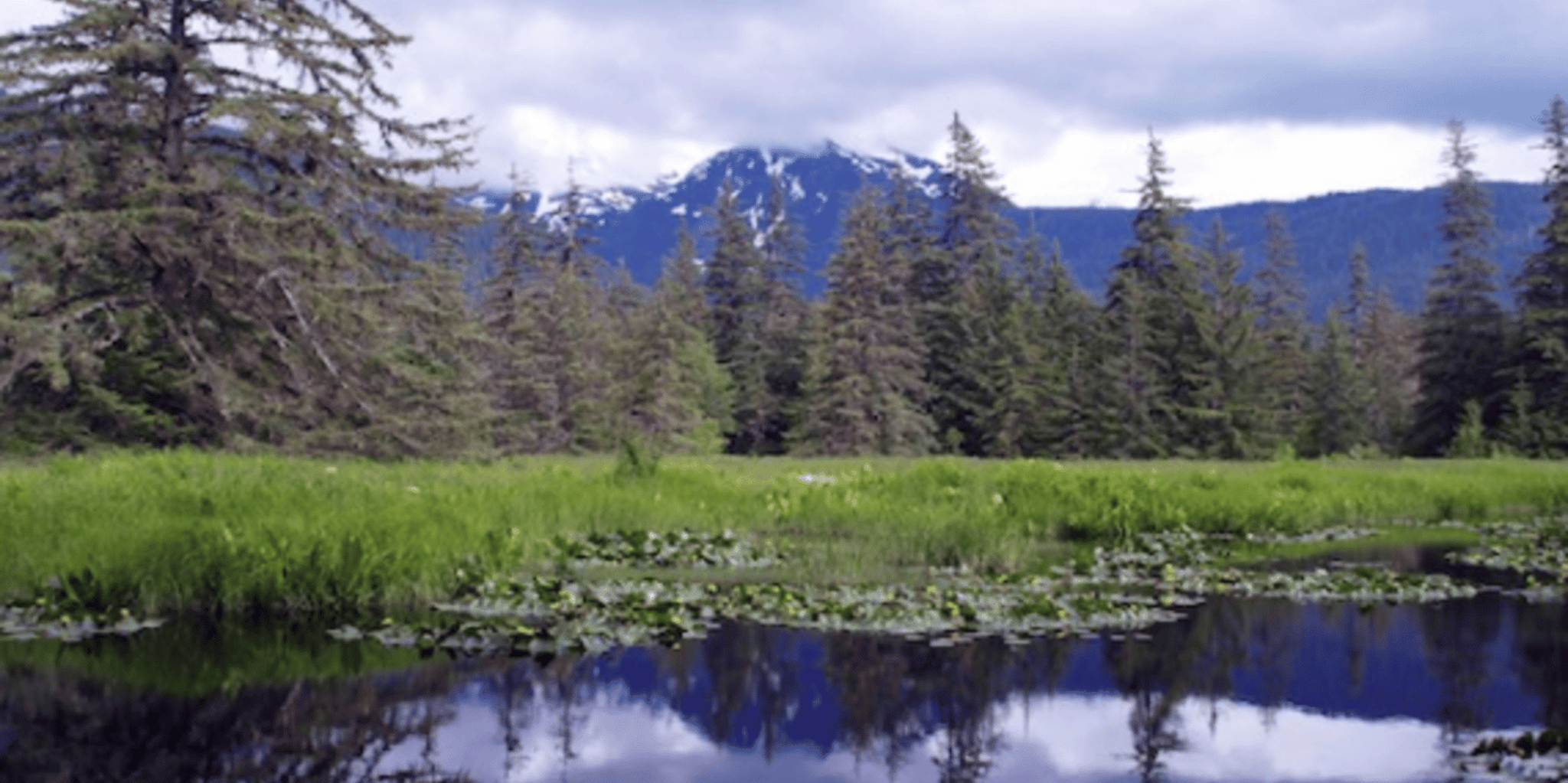 Hoonah Bear Island Shore Excursion - Image 2