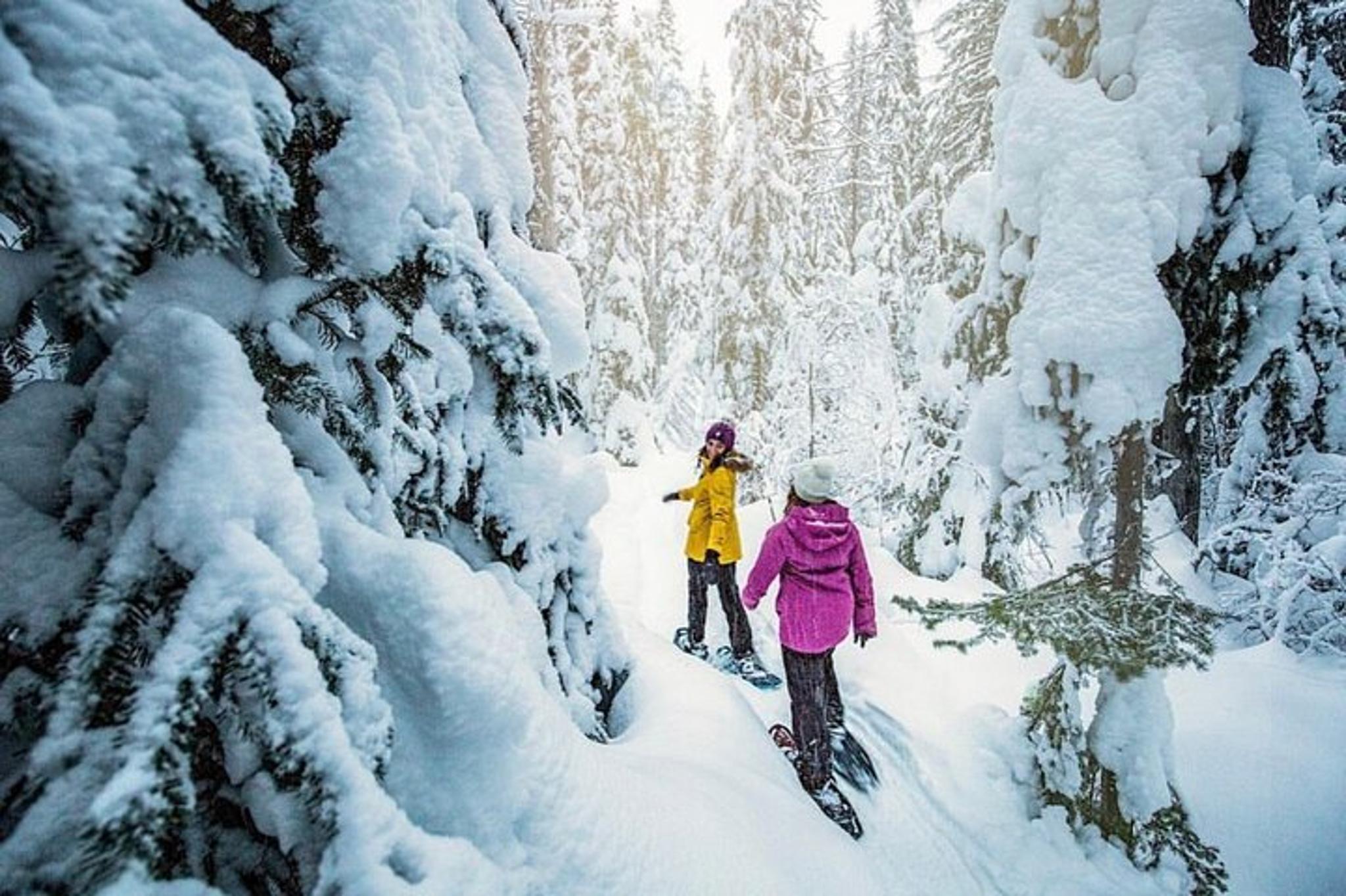 South Lake Tahoe Snowshoe Rentals - Image 4