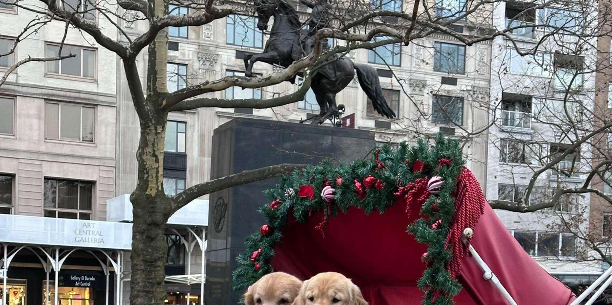 New York Central Park Horse-Drawn Carriage Tour - Image 3