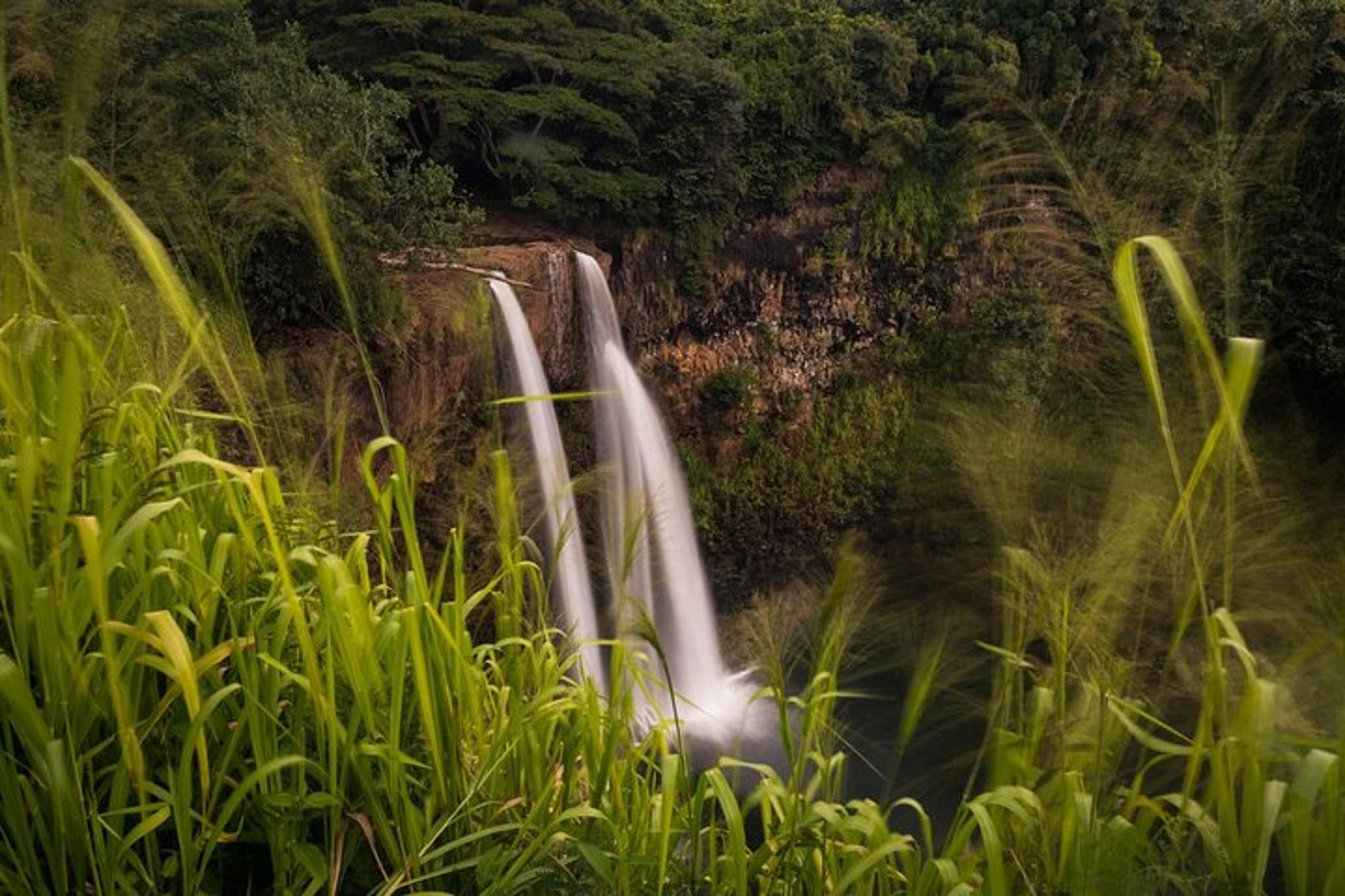 Kauai North Shore Private Guided Tour 6 hr - Image 2