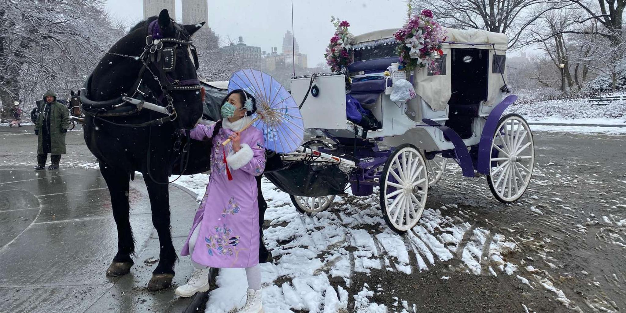New York City Central Park Horse Carriage Ride - Image 6