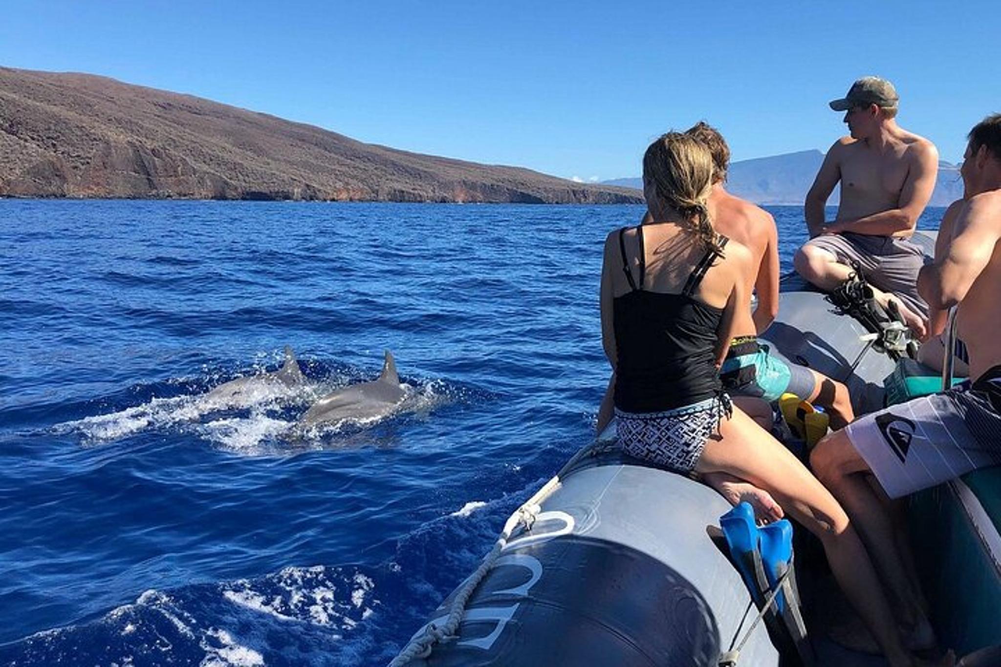 Lahaina Eco-Raft Whale and Dolphin Watching Tour - Image 4