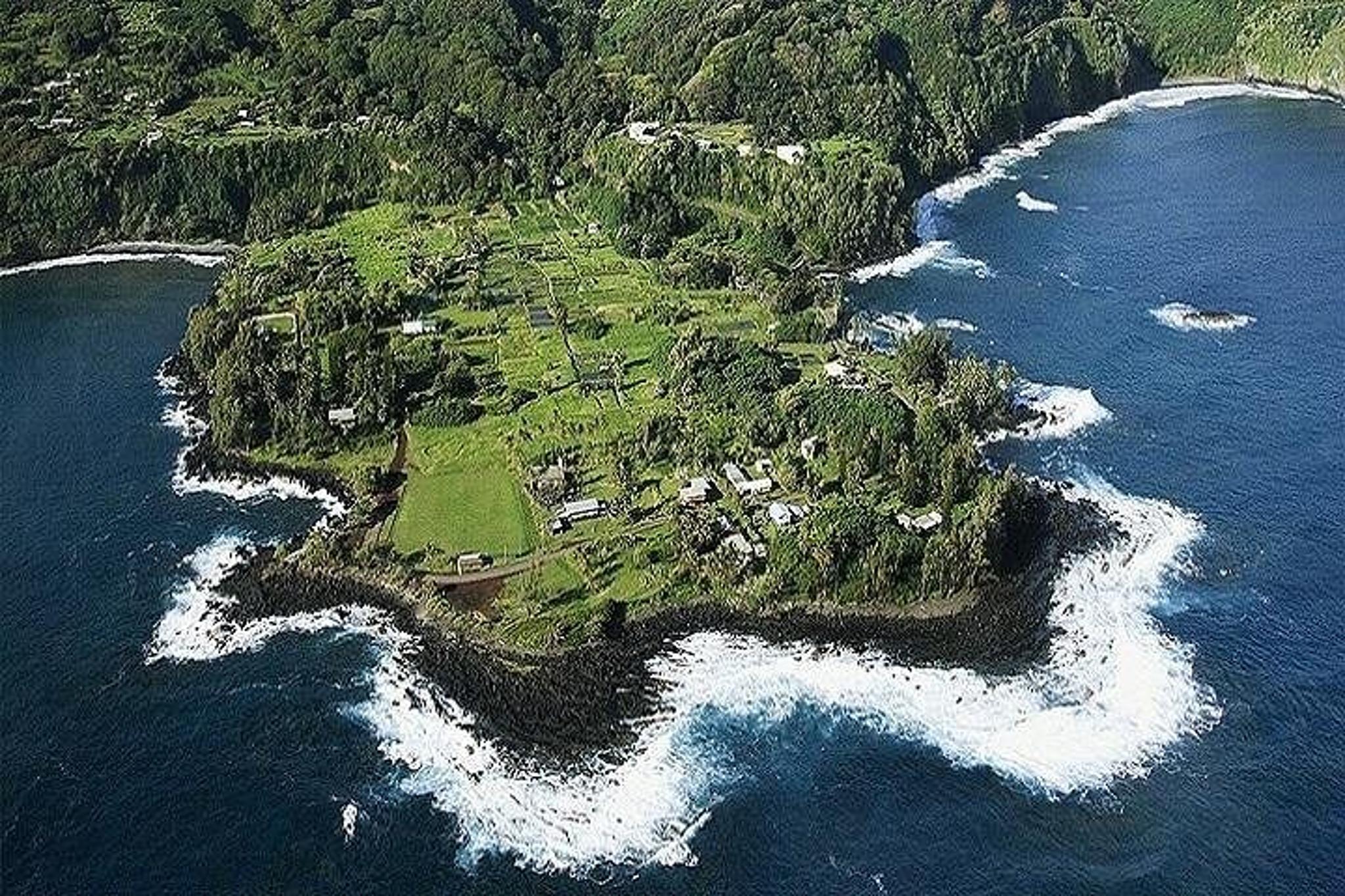 Maui Road to Hana Rainforest and Waterfall Tour - Image 5