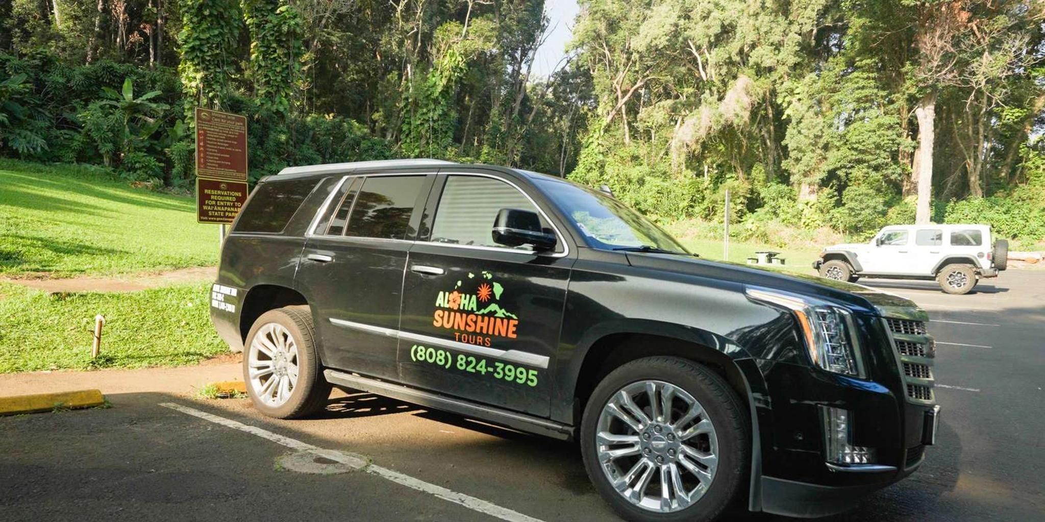 Maui Road to Hana Rainforest and Waterfall Experience - Image 5