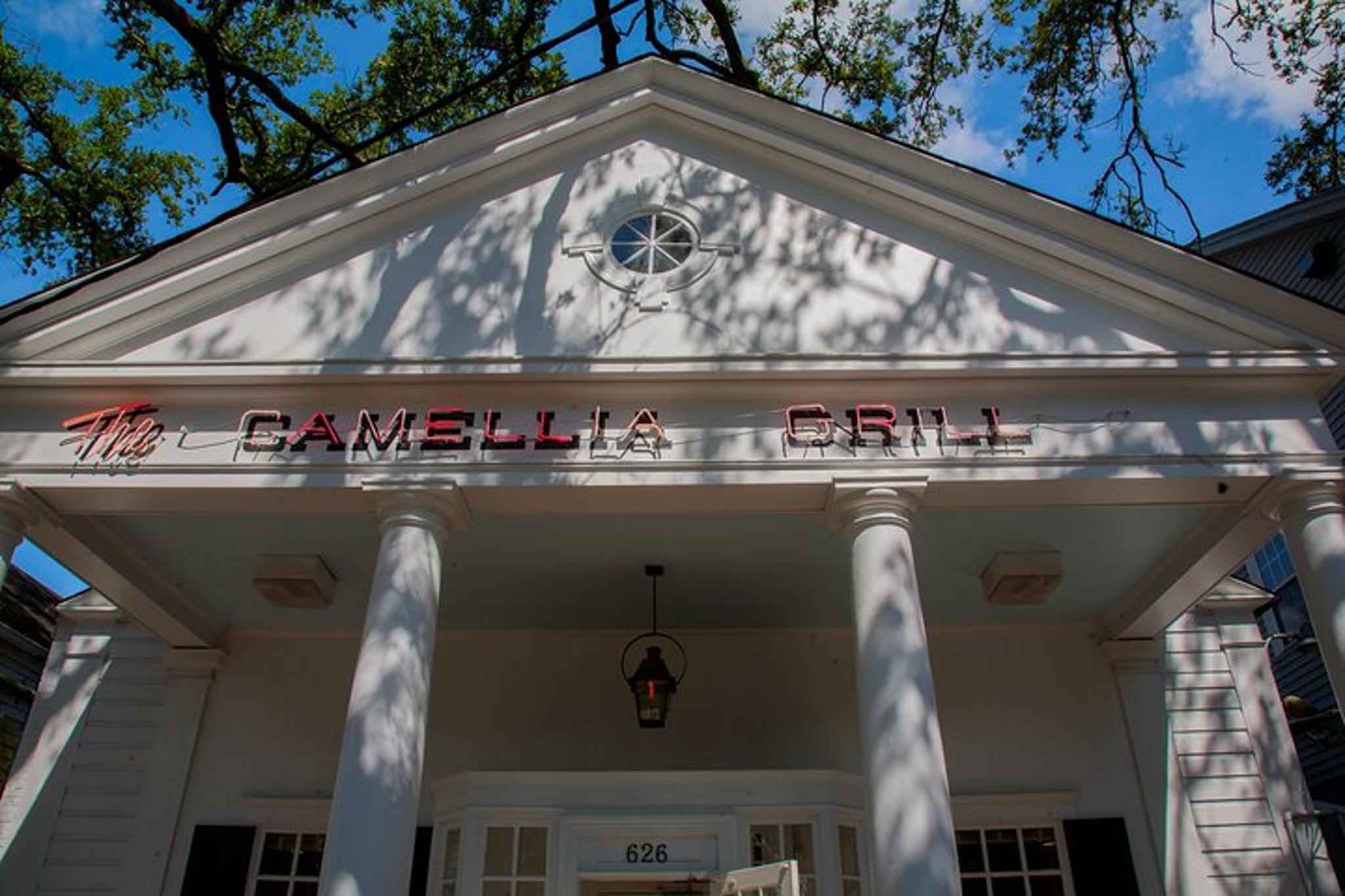 New Orleans Carrollton Neighborhood Walking Tour - Image 2