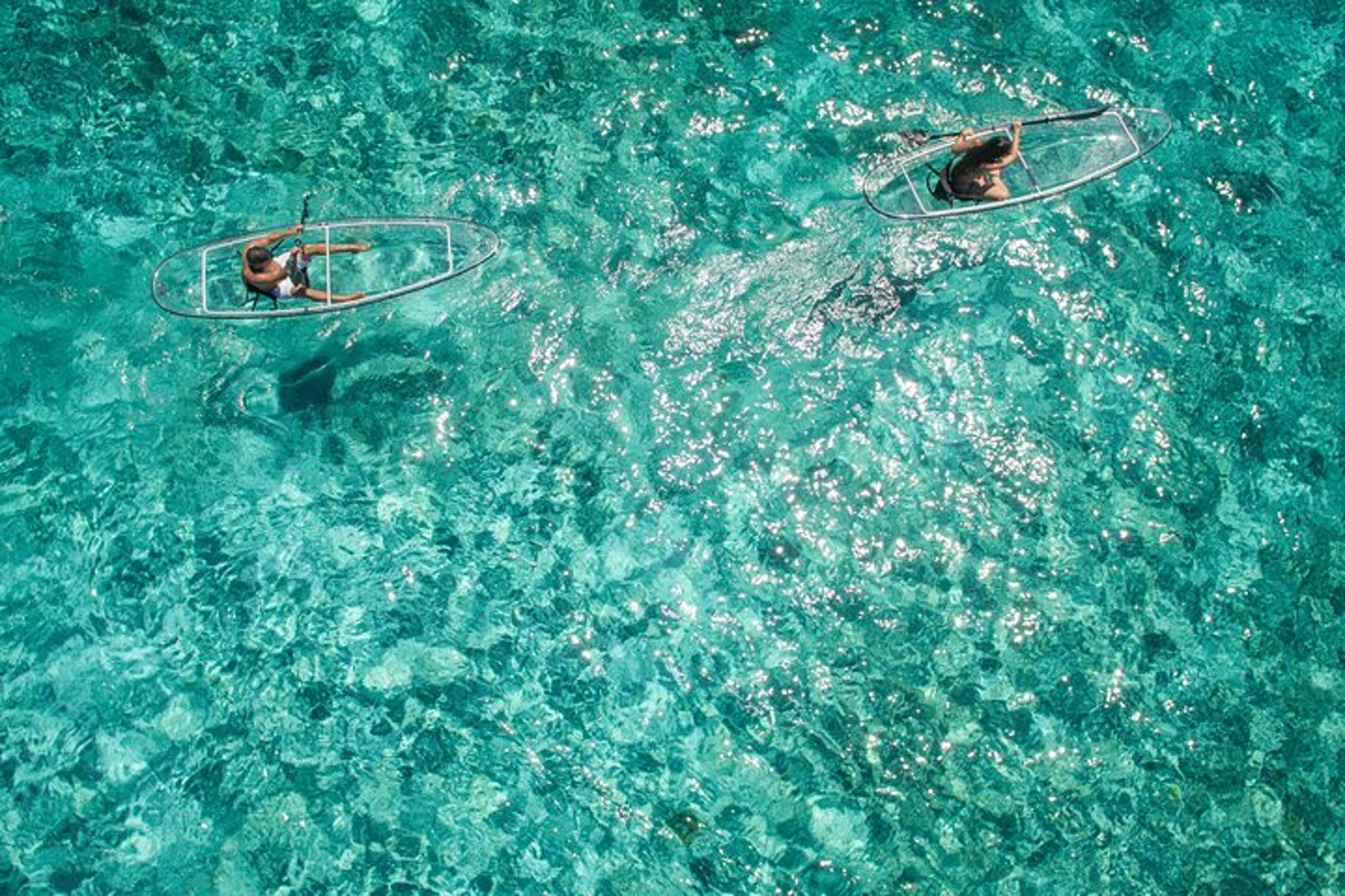 Pensacola Beach Glass Kayak Tour - Image 2