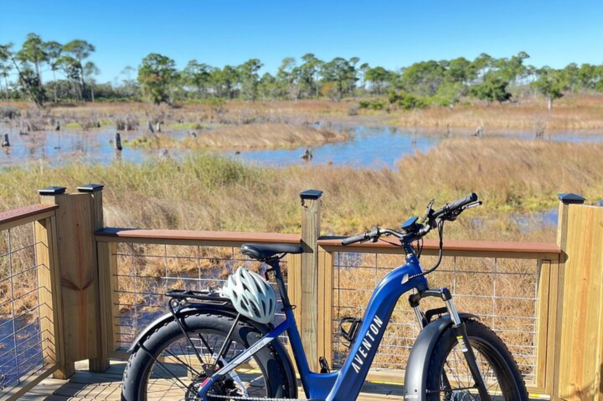Panama City Beach E-Bike Tour - Image 5