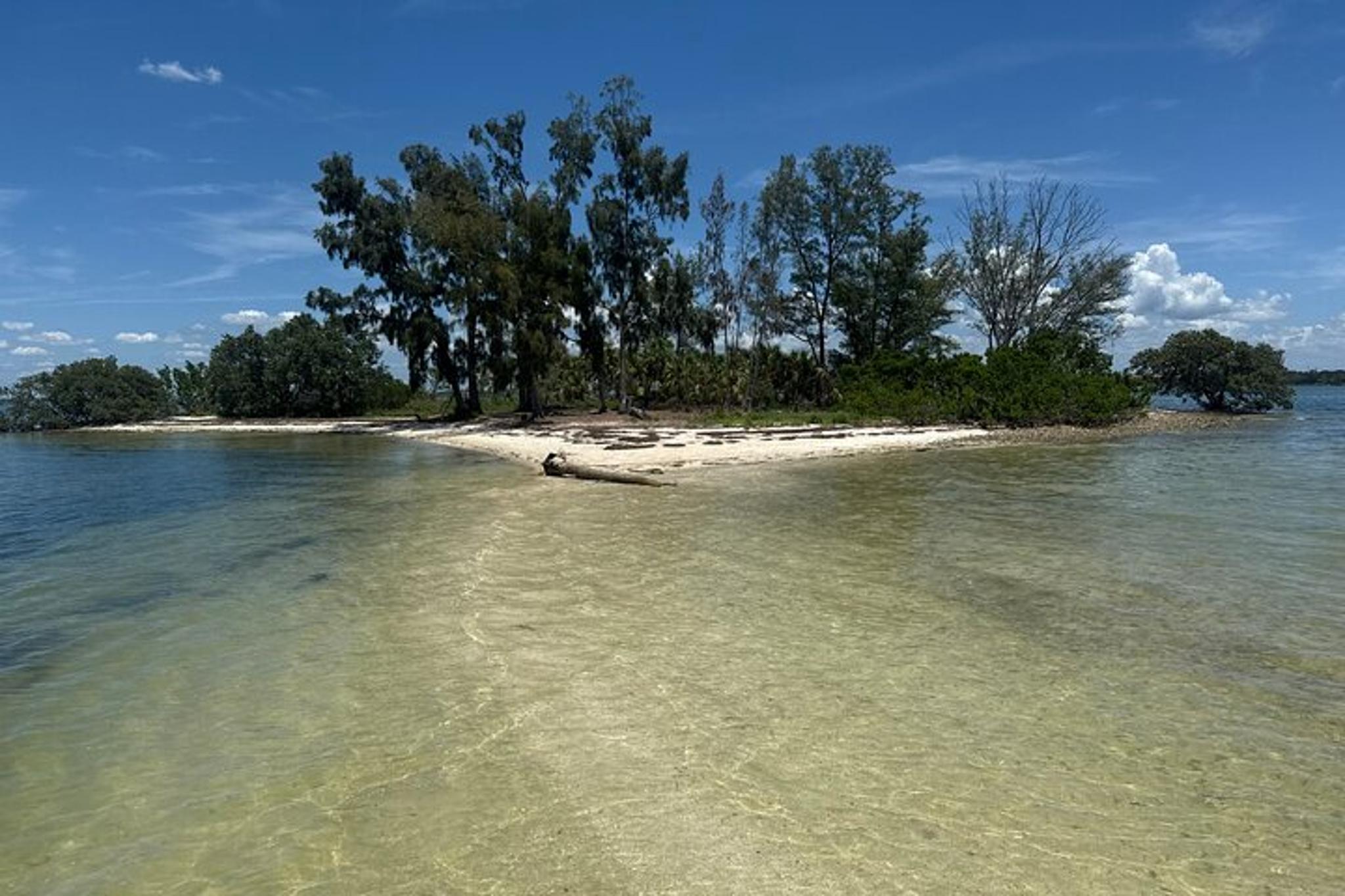 Clearwater Beach Private Pontoon Tour - Image 5