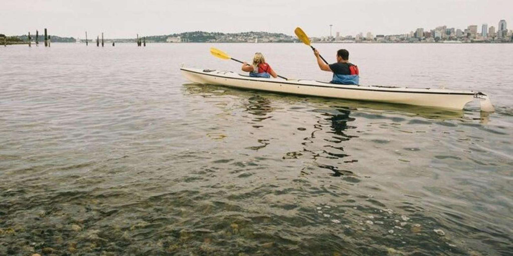 Seattle Elliott Bay Sea Kayak Tour 2 hr - Image 3