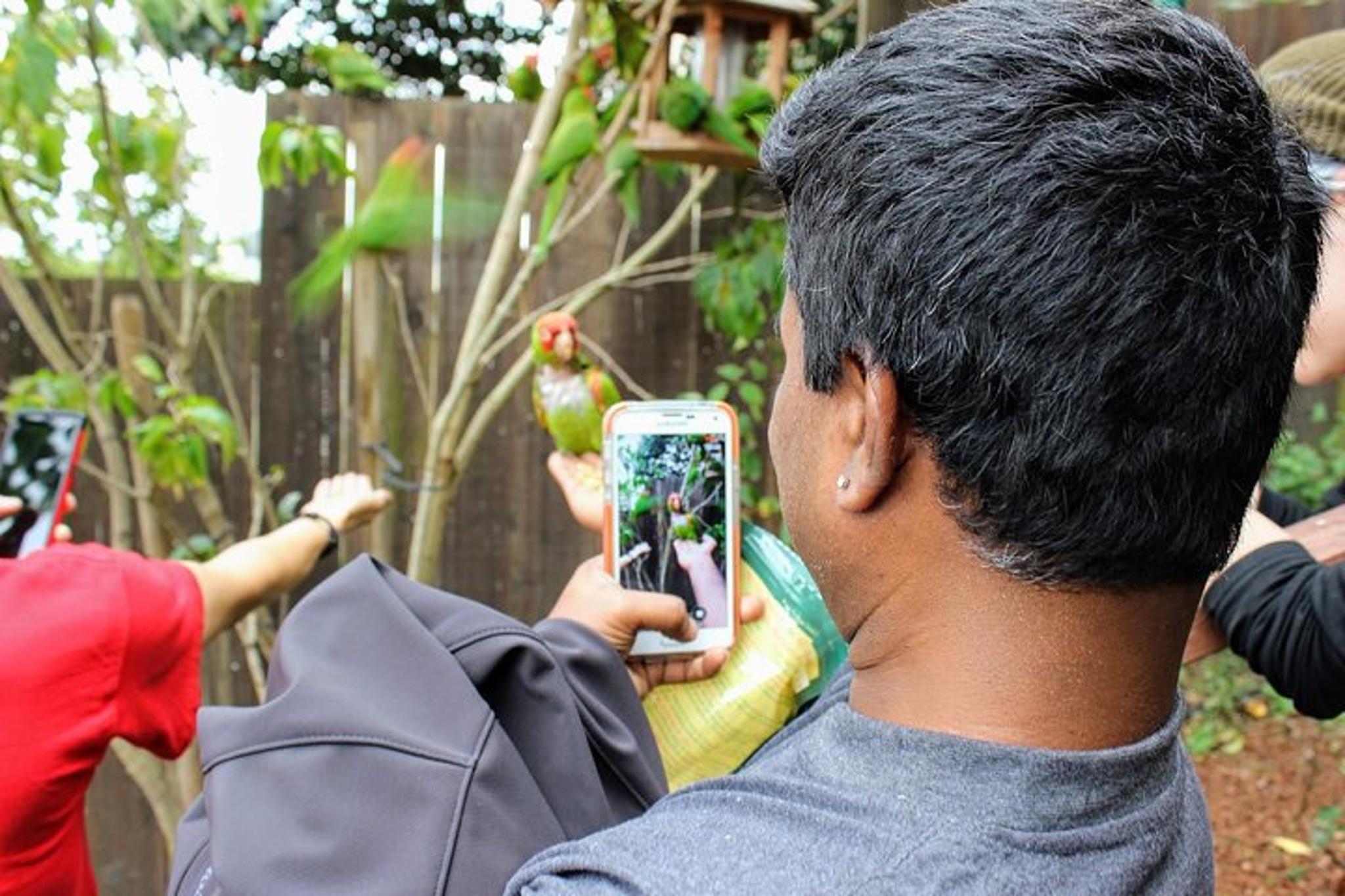 San Francisco Urban Hike: Coit Tower and North Beach - Image 6
