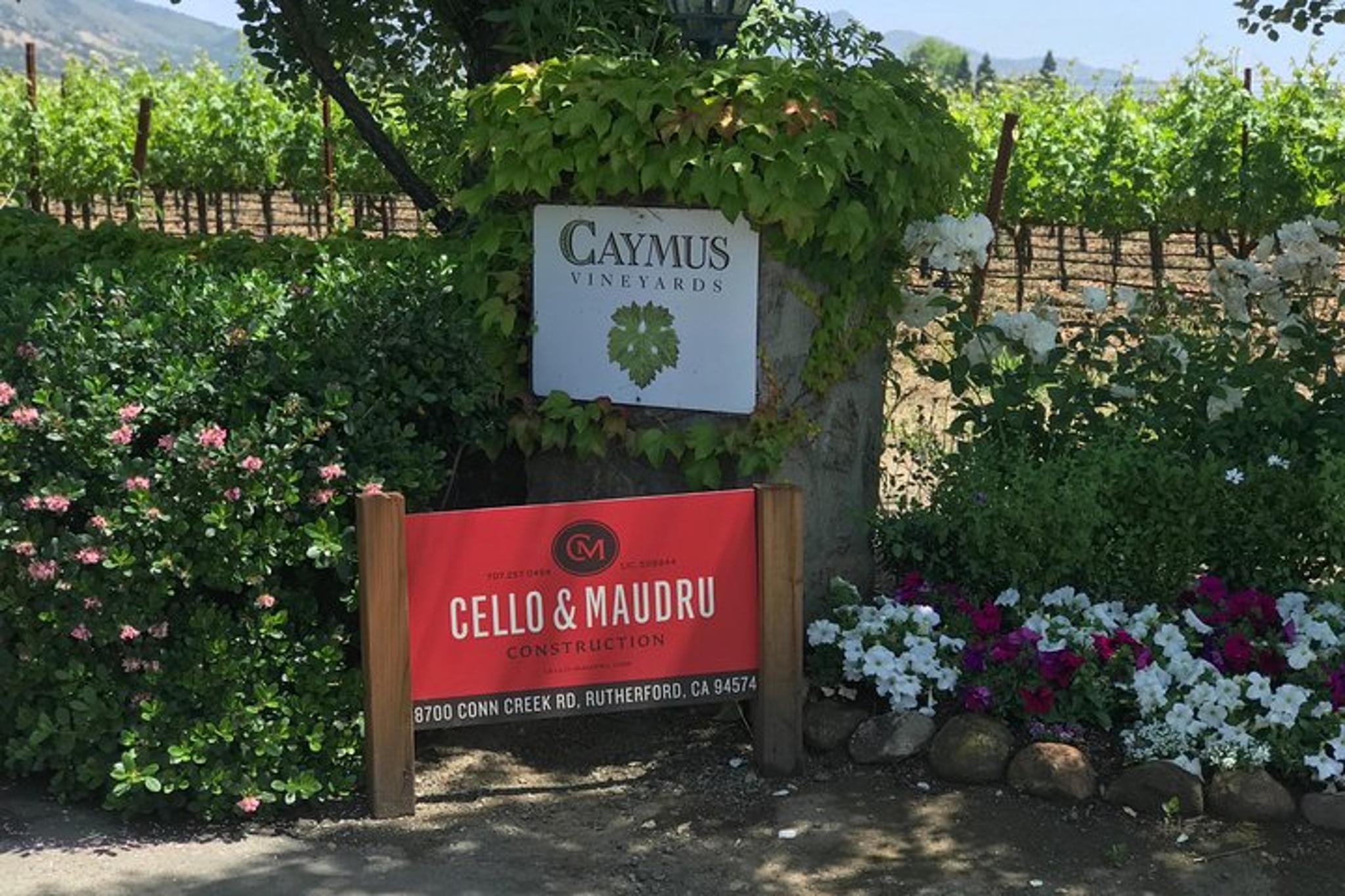 San Francisco Napa Valley Wine Tour 6 hr - Image 5