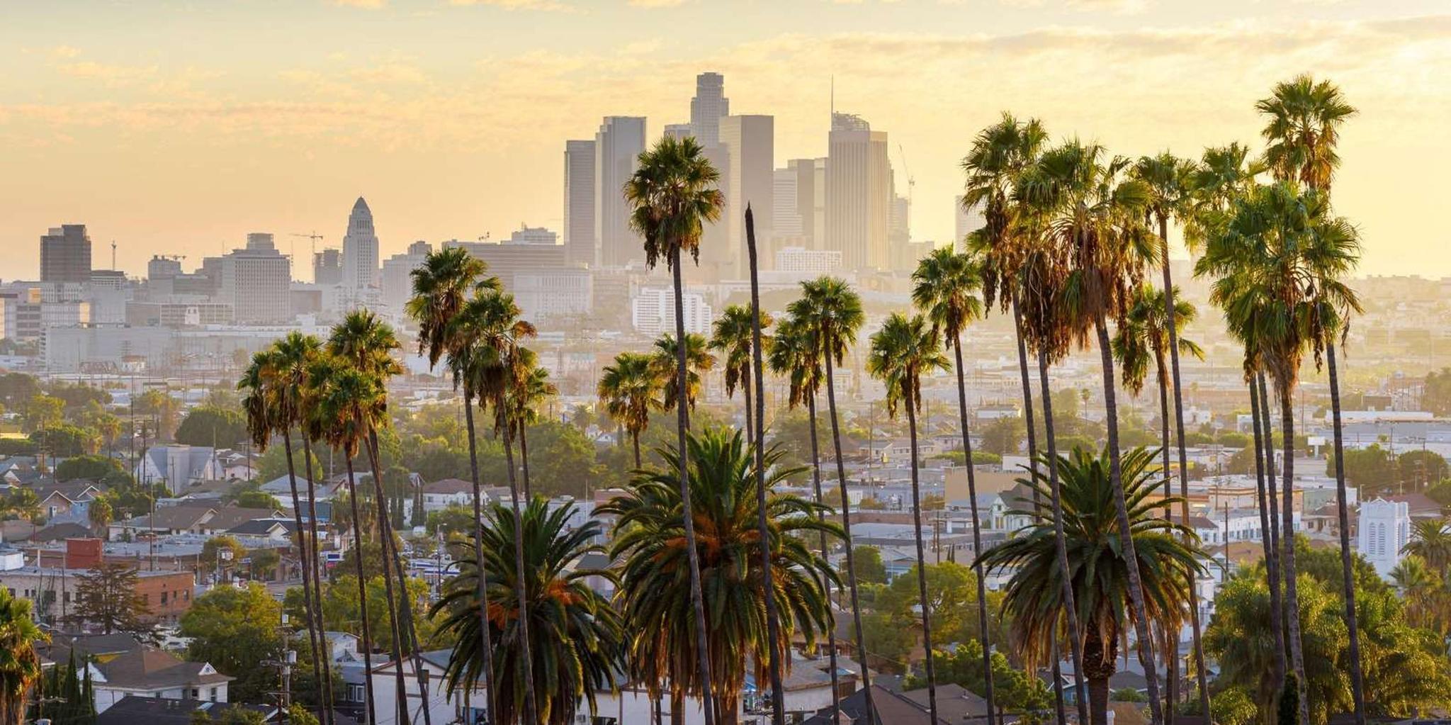 Los Angeles City Tour with Expert Guide - Image 2