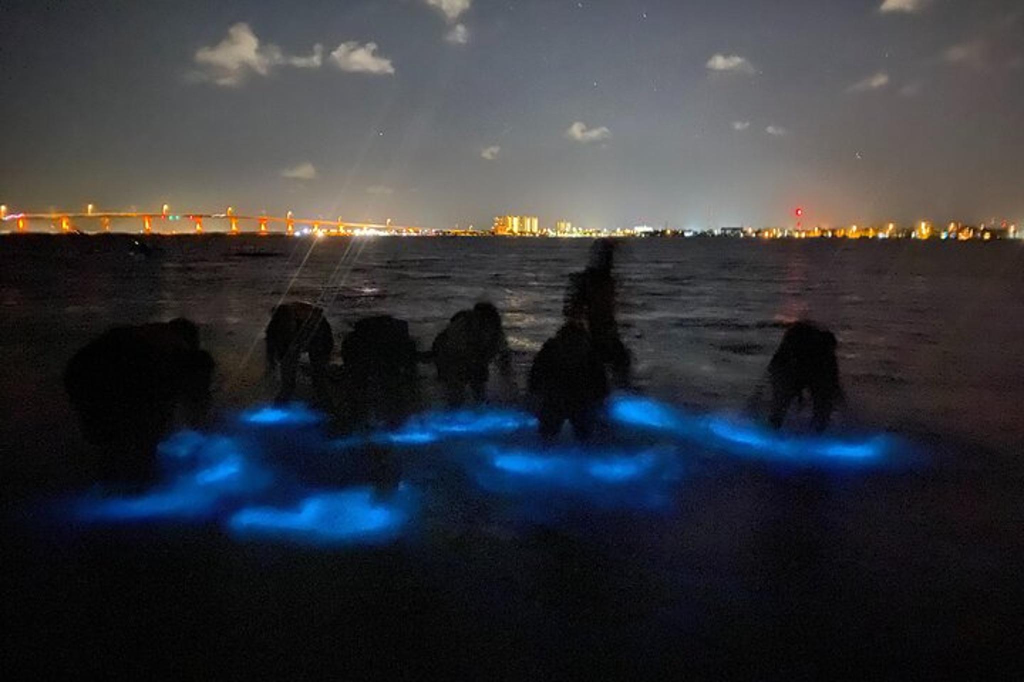 Orlando Bioluminescence Kayak Tour - Image 2