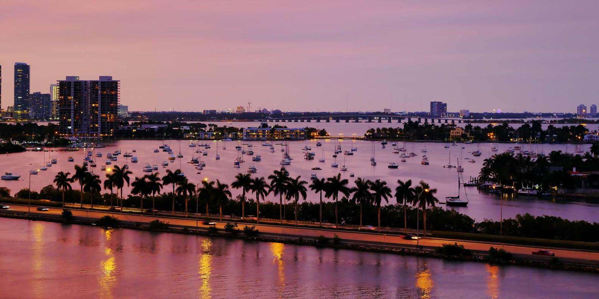 Miami Night Tour with Skyview Wheel - Image 4