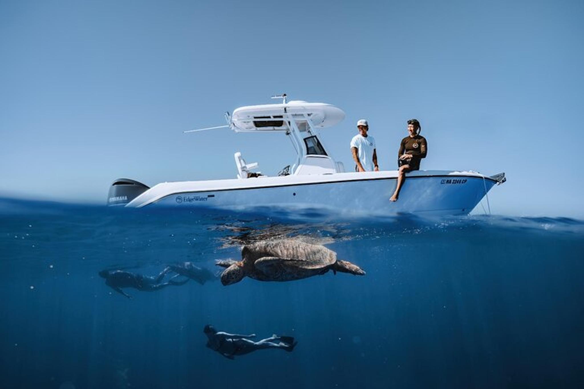 Honolulu Snorkel Tour at Turtle Canyon 90 min - Image 2