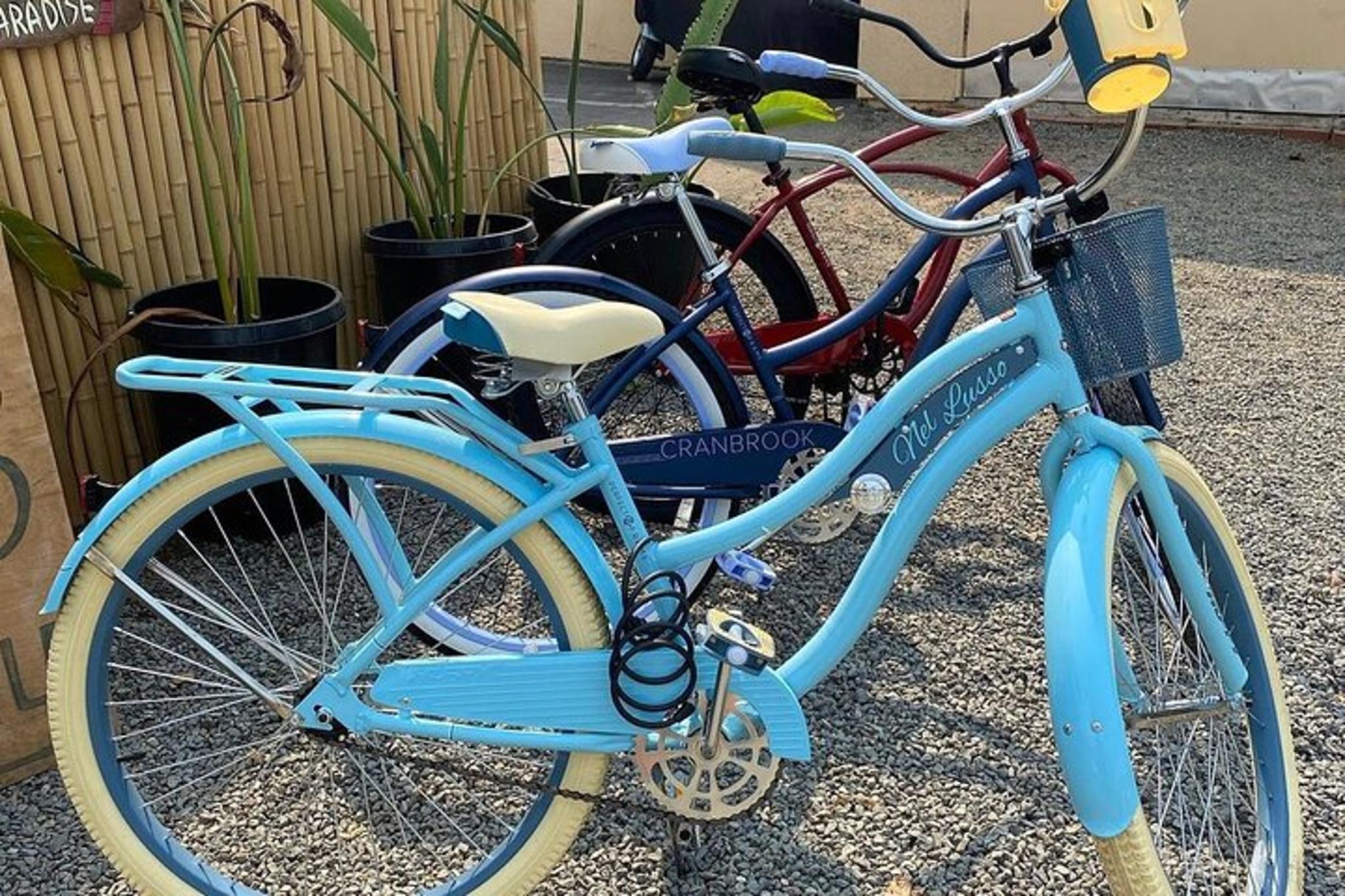 Solana Beach Cruiser Bike Rental - Image 5