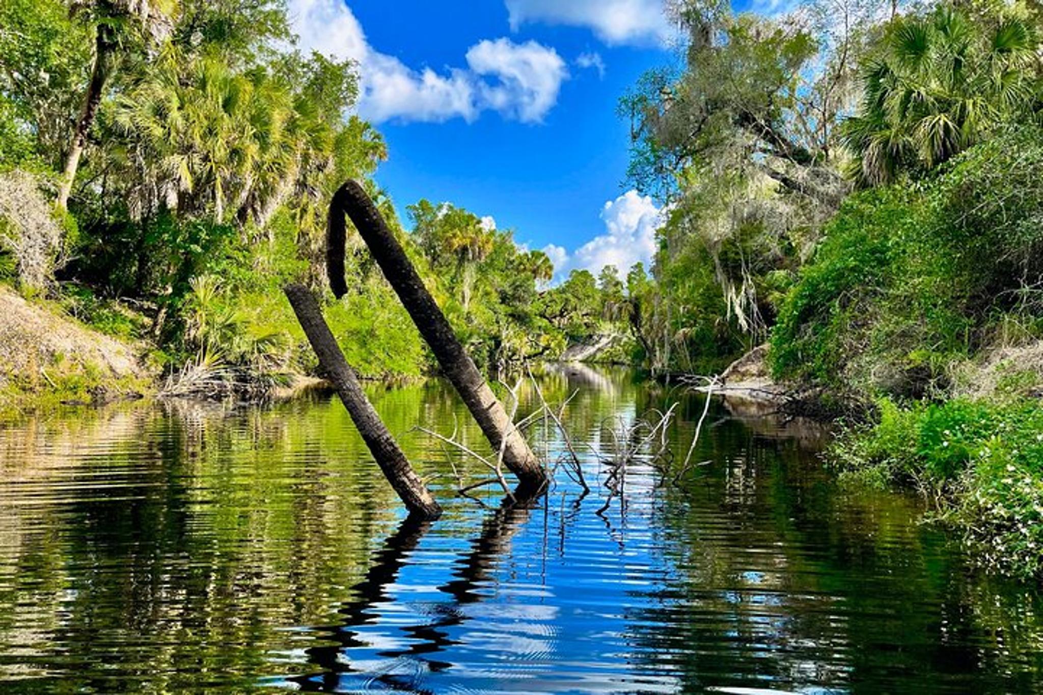 Upper Manatee River Stand Up Paddle Board Tour 2 hr - Image 4