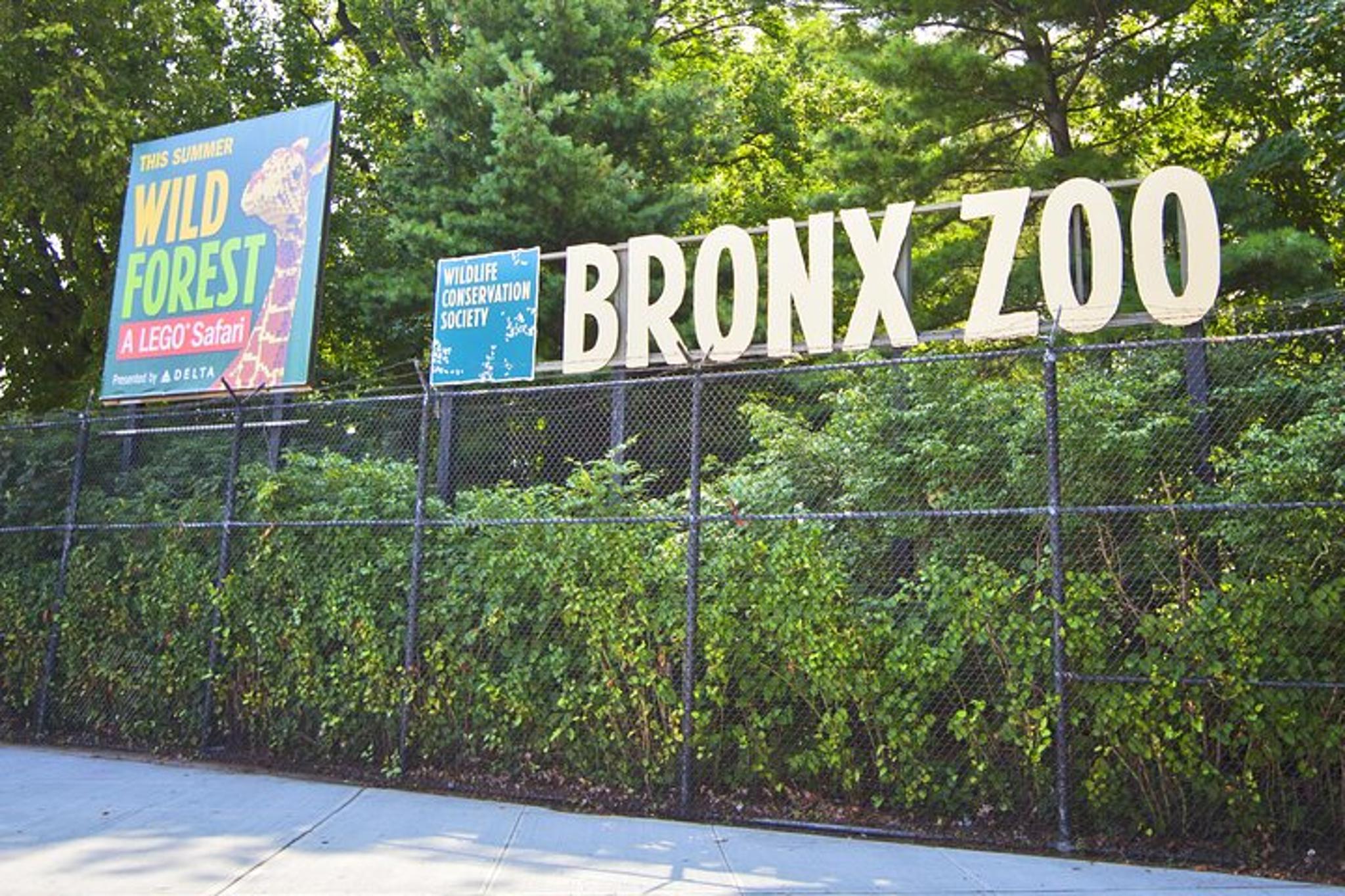 New York Bronx Zoo Tour with Private Transfers