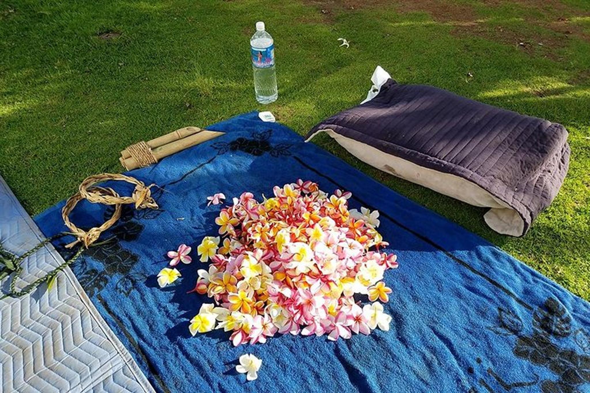 North Shore Transportation - Image 5