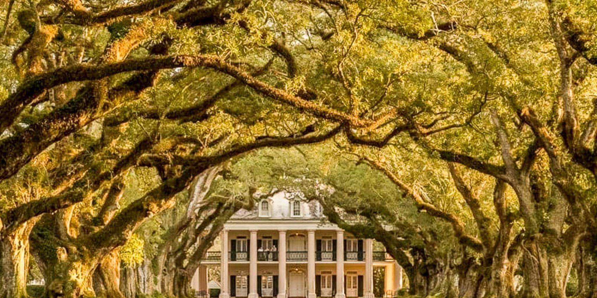 New Orleans Oak Alley Plantation Tour 5.5 hr