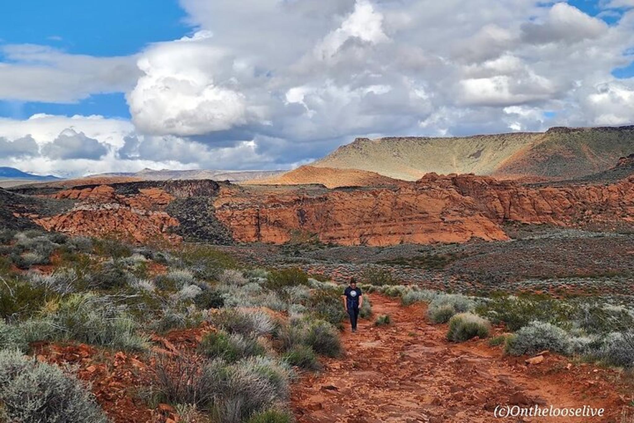Snow Canyon Petroglyphs Hike - Image 4