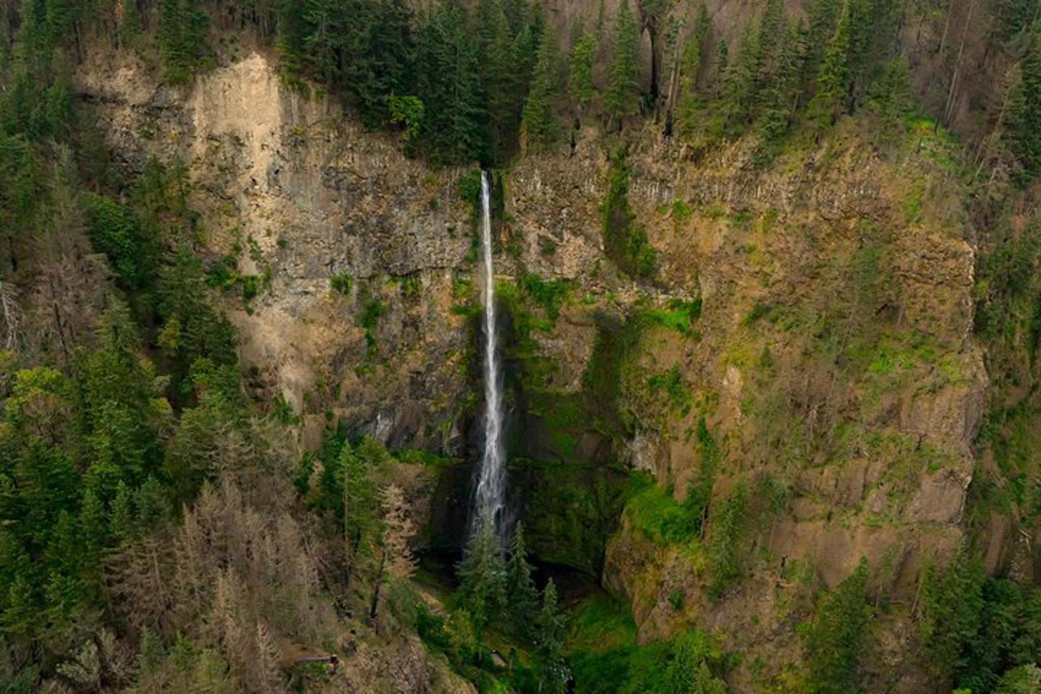 Portland Airplane Tour of Multnomah Falls - Image 5