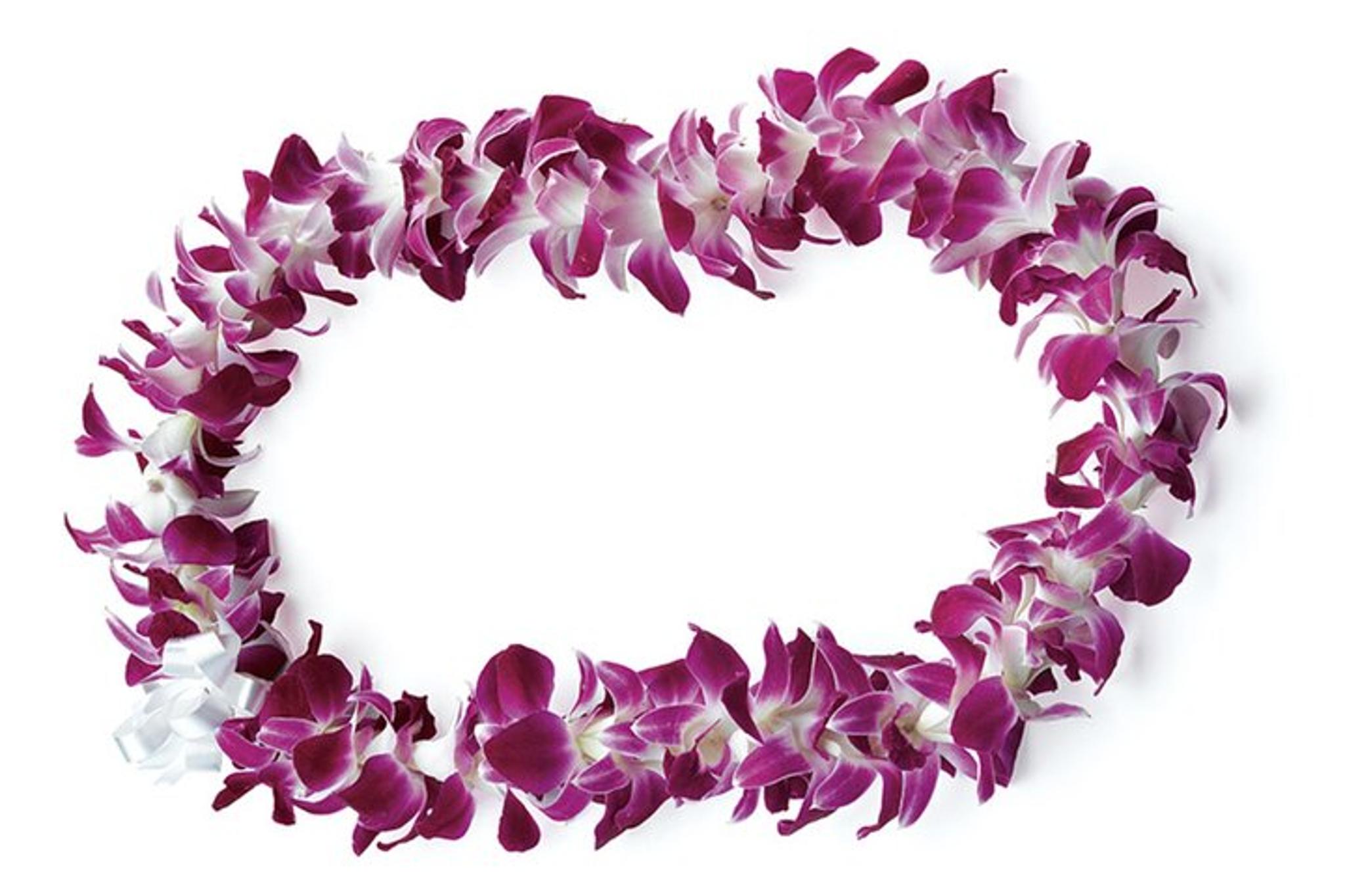 Honolulu Waikiki Private Transfer with Lei Greeting
