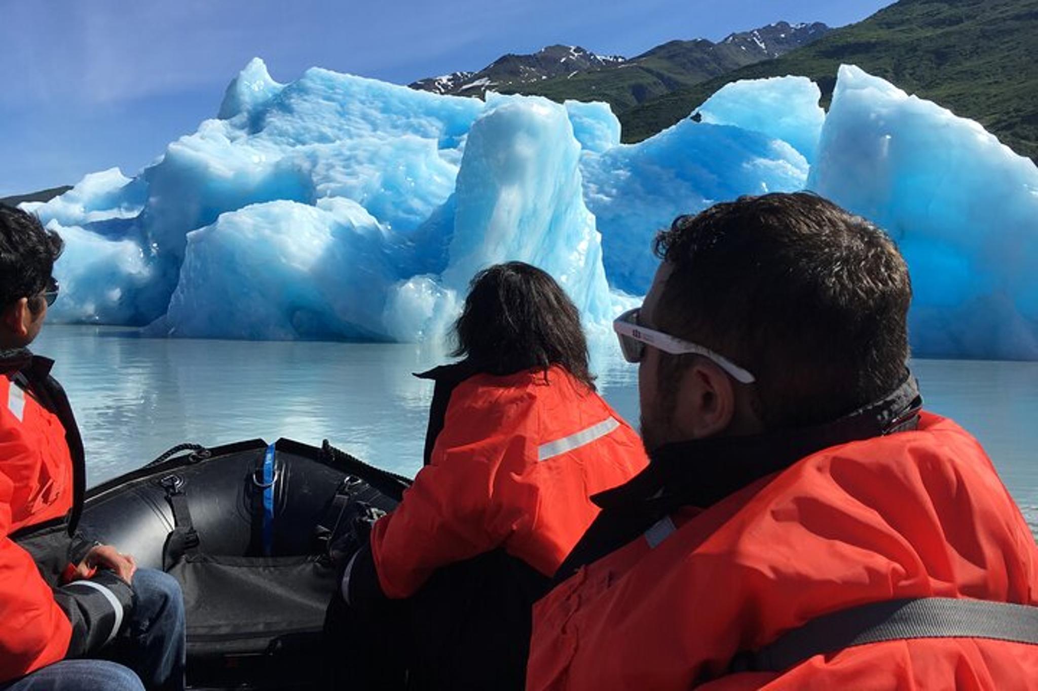 Seward Glacier Iceberg Raft Tour - Image 2