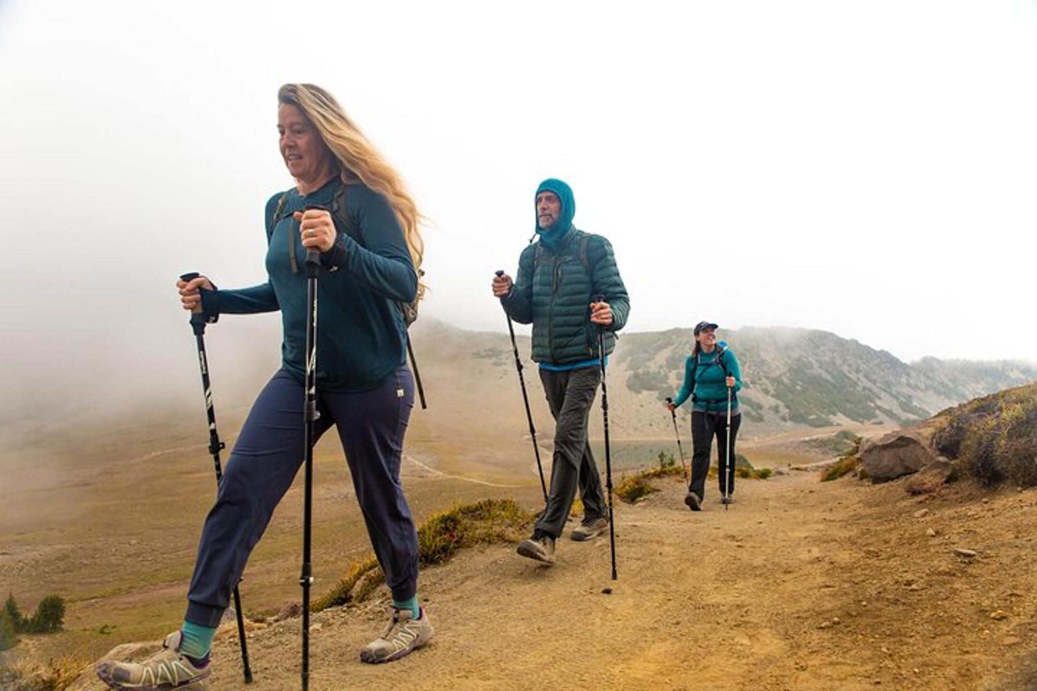 Mount Rainier Private Tour & Hike - Image 6