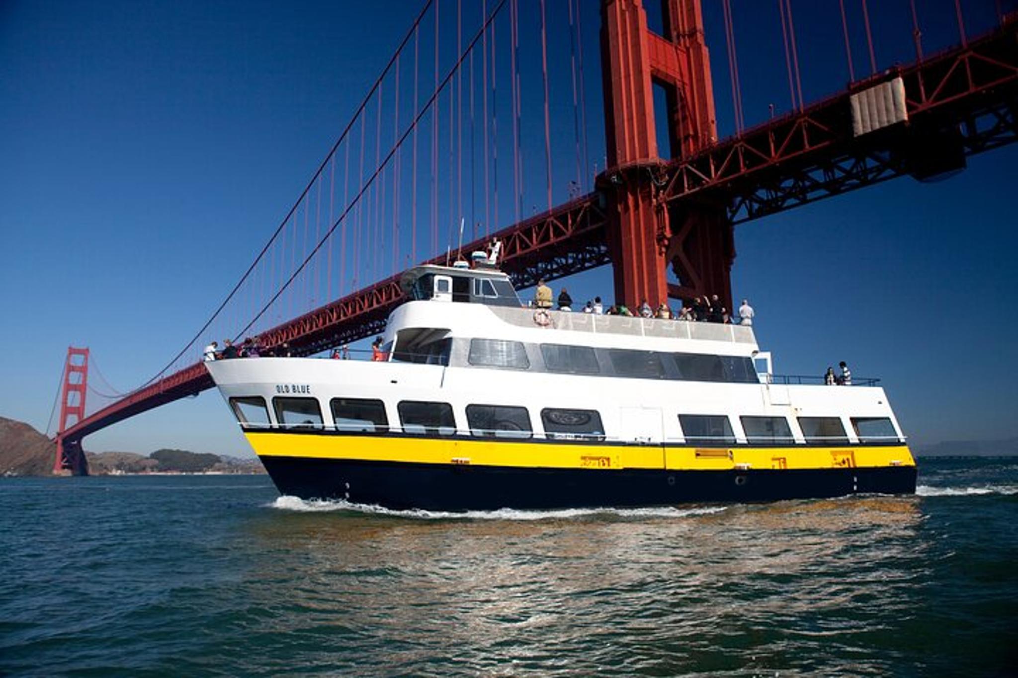 San Francisco Bay Cruise and Night Tour