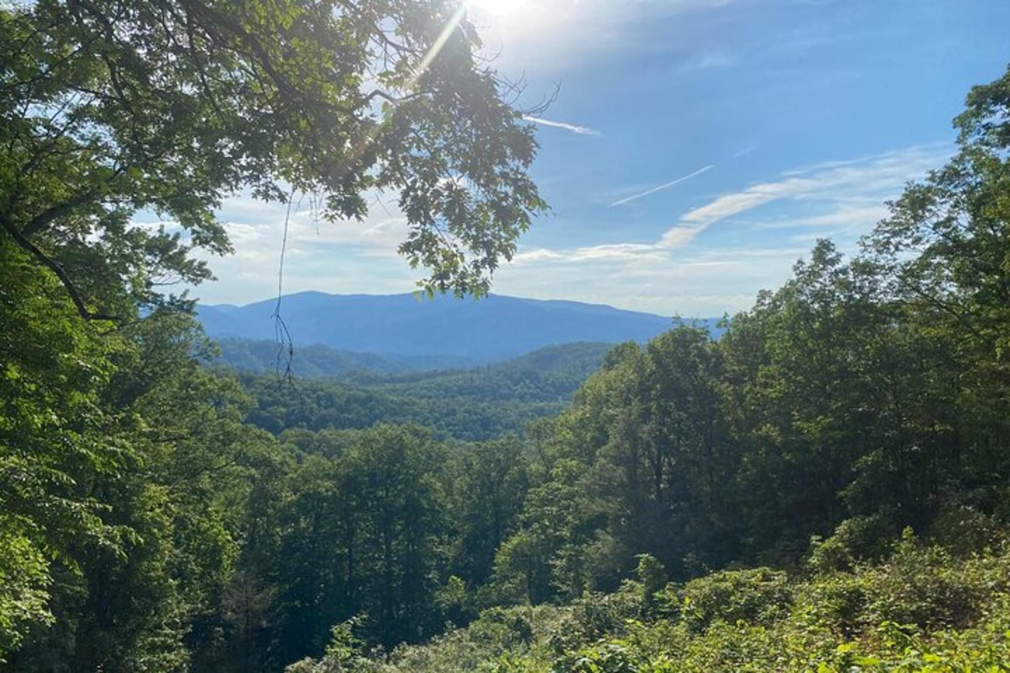 Smoky Mountains Roaring Fork Sightseeing Jeep Tour - Image 5