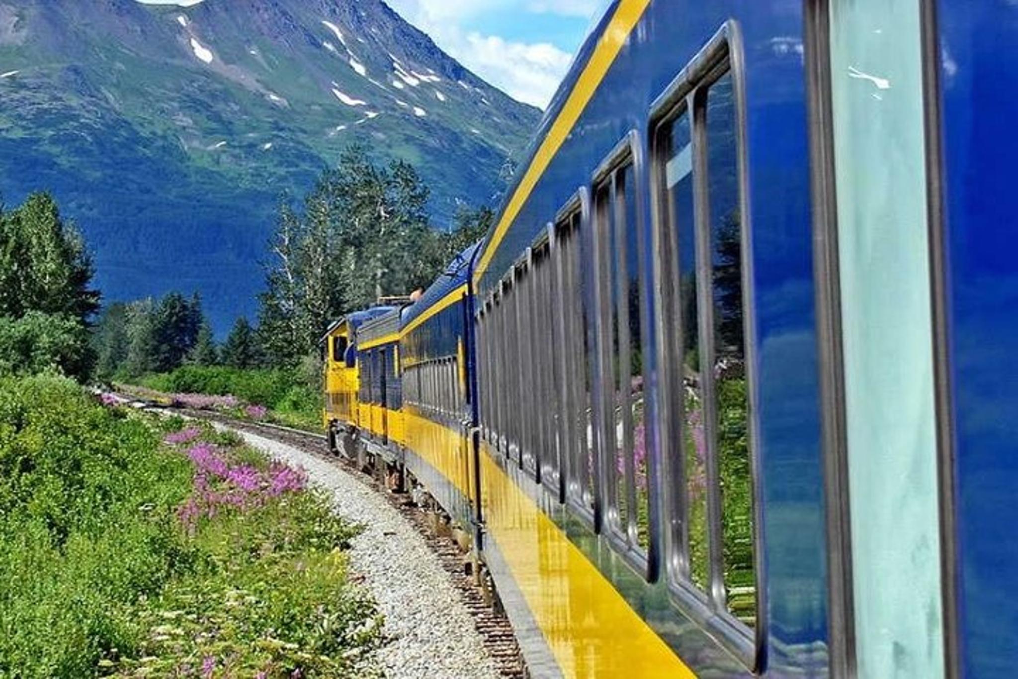 Anchorage to Seward Scenic Train Journey - Image 6